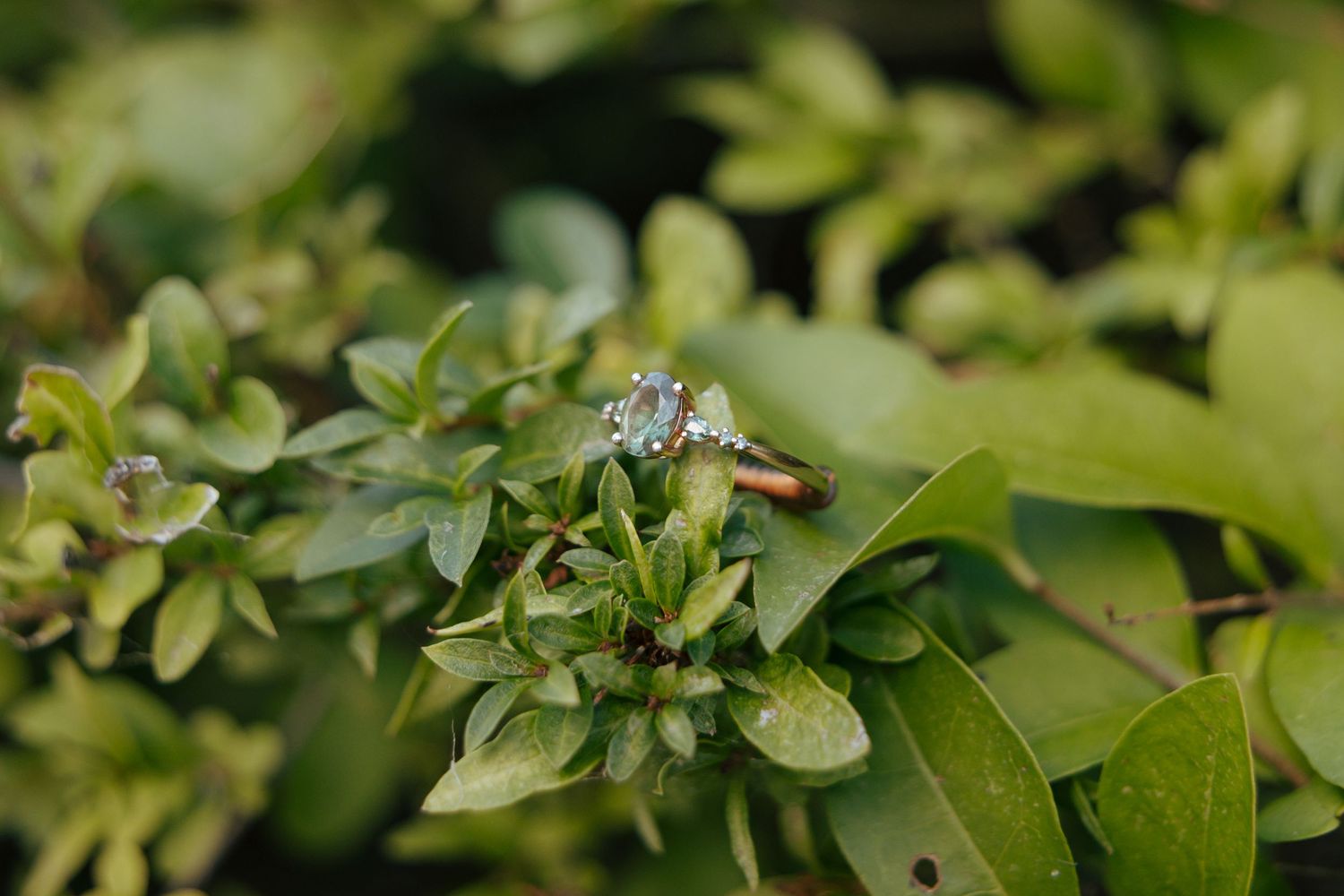 Close-up of a sparkling diamond engagement ring resting on green foliage.