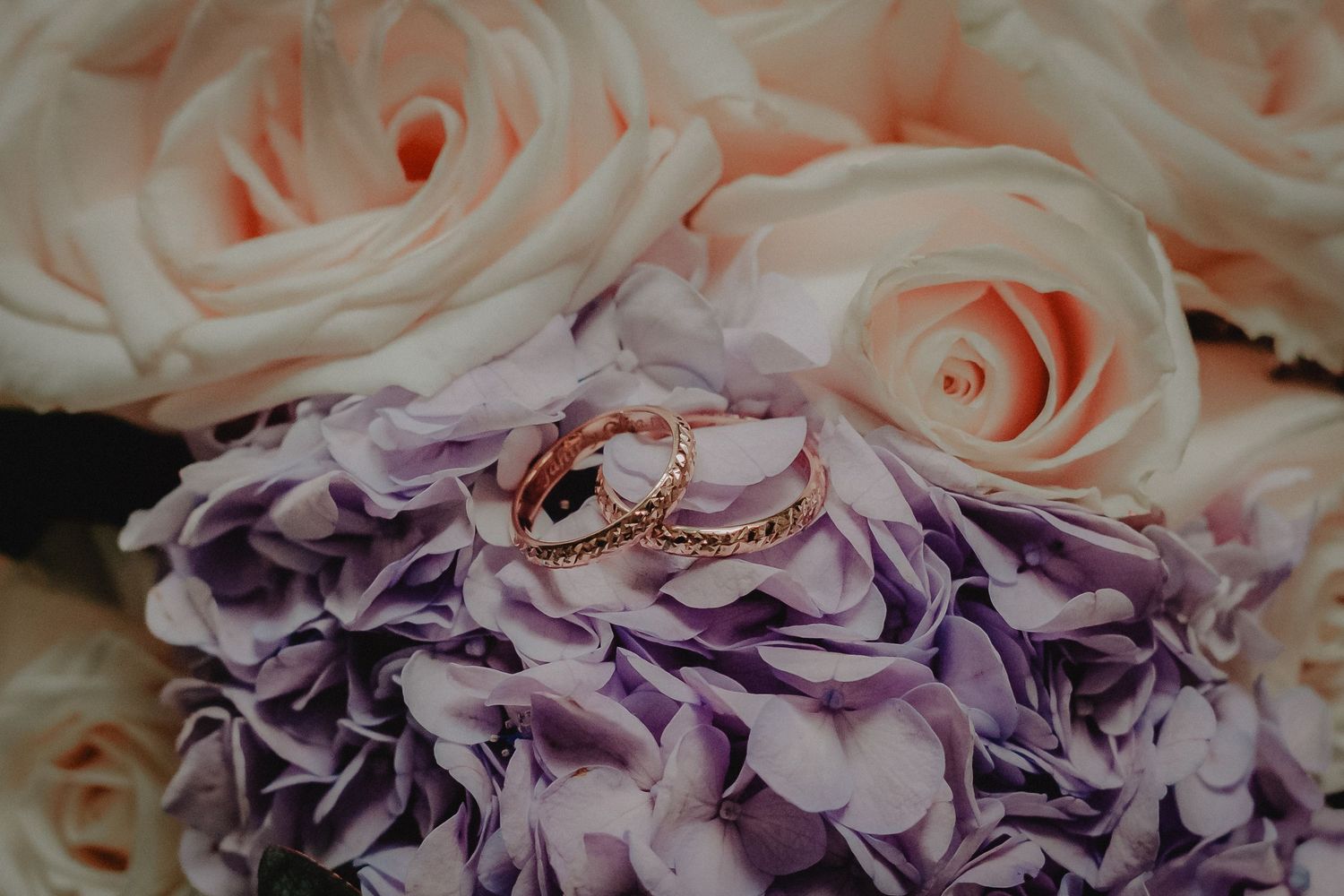 anillos sobre flores en santa marta colombia