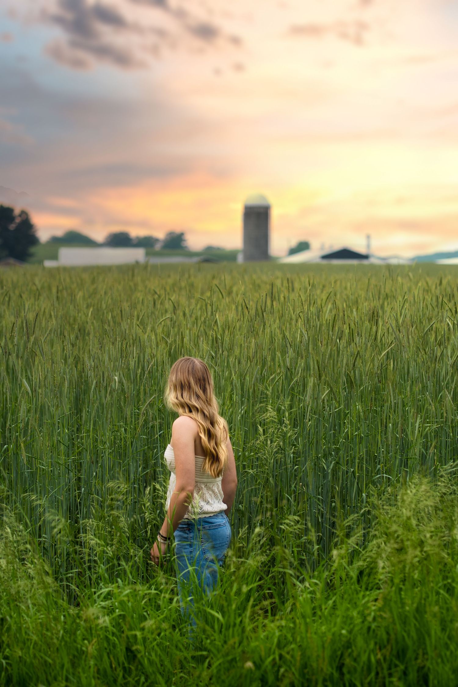 A person walks through a lush green wheat field at sunset with a dramatic orange and pink sky overhead.