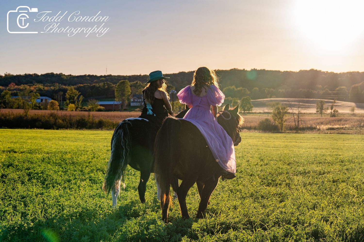 Silhouettes of people and a dog walking in a golden field at sunset with lens flare.