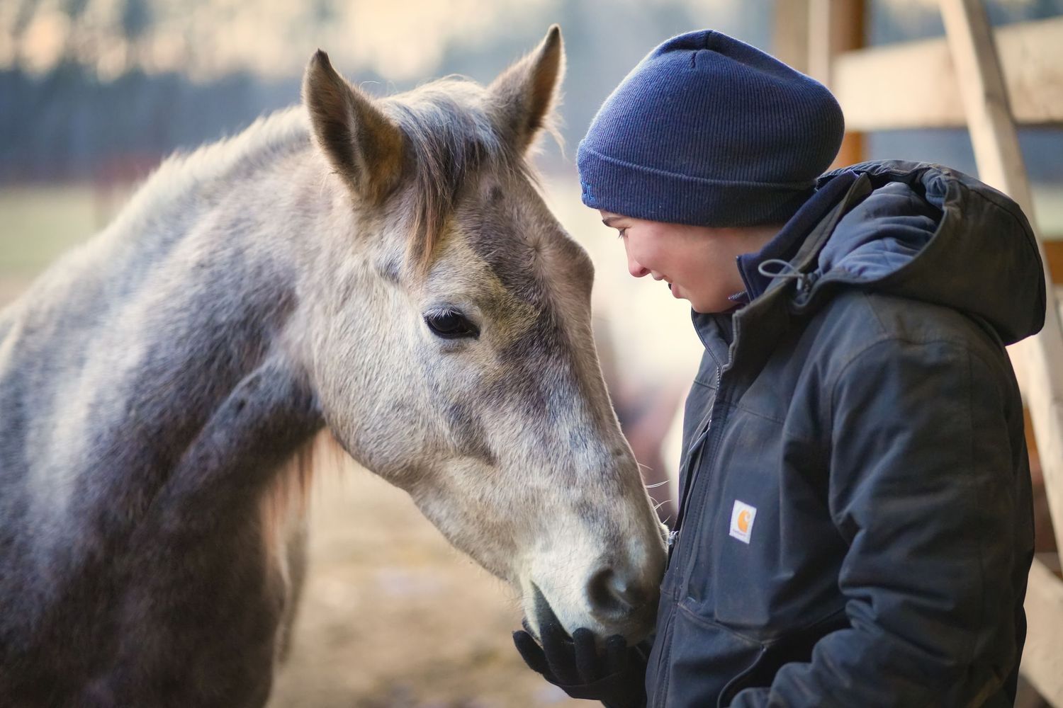 A tender moment between a gray horse and someone in winter clothing sharing a close connection.