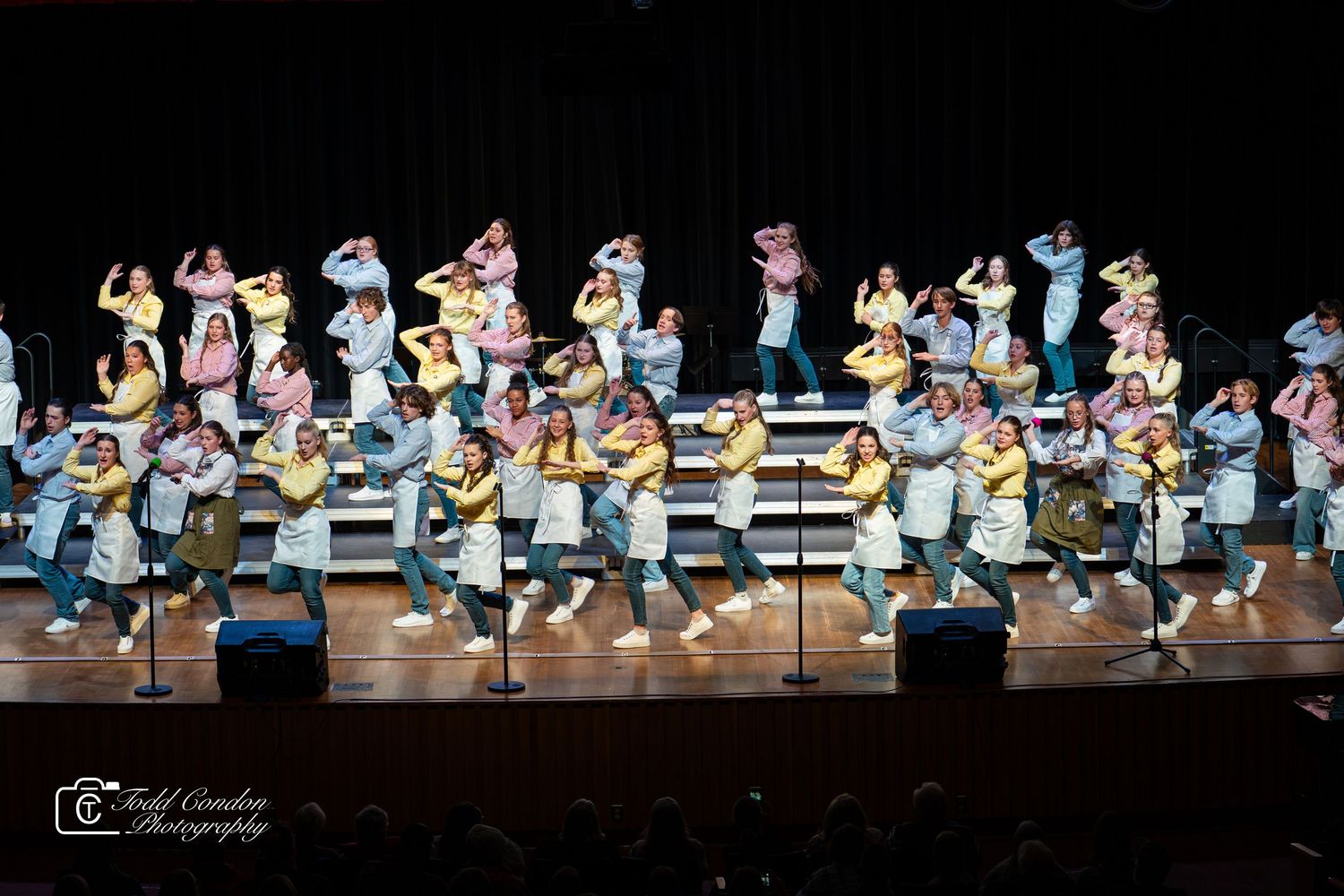 A large group of performers in matching outfits dance in formation on risers during a stage show performance.