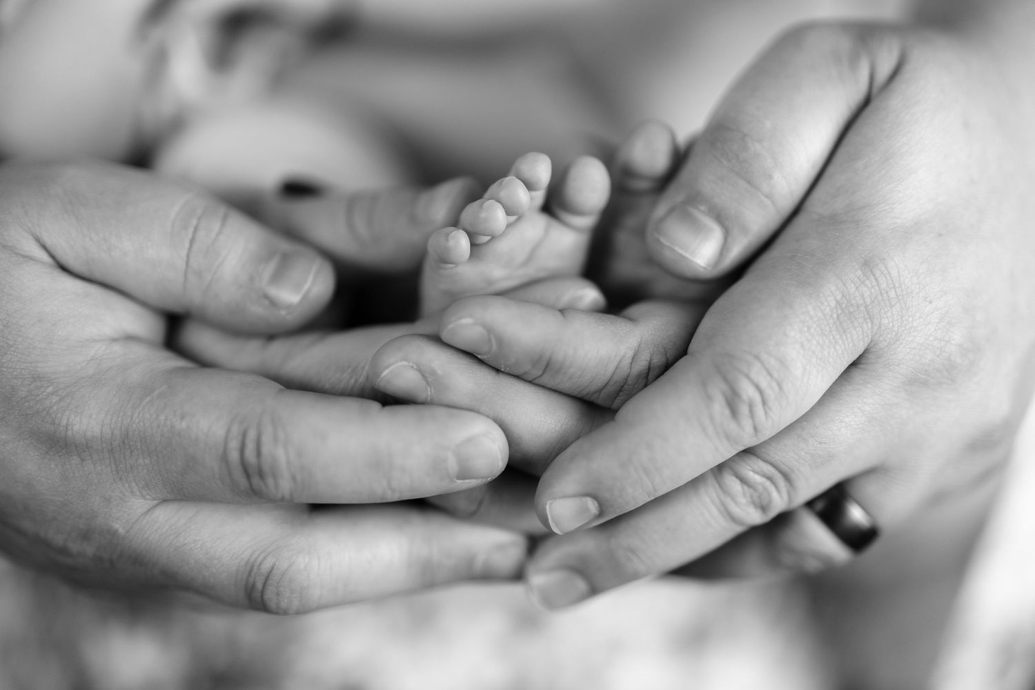 Black and white photo of adult hands gently cradling tiny newborn baby feet.