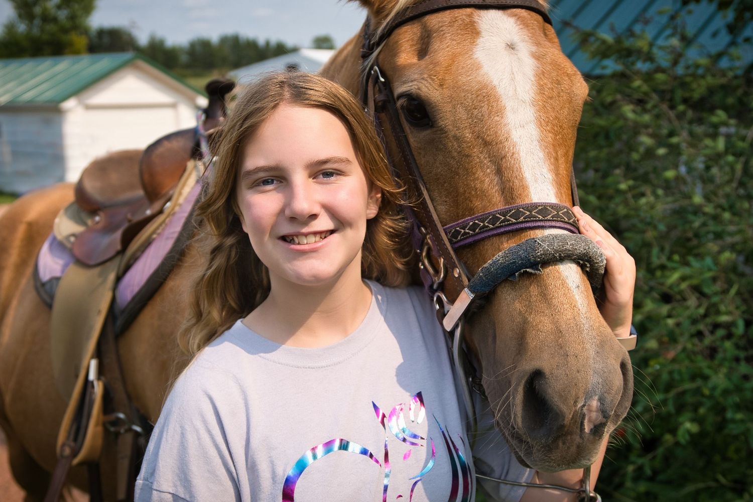 A series of outdoor photos featuring horses and riders in a sunny field setting.