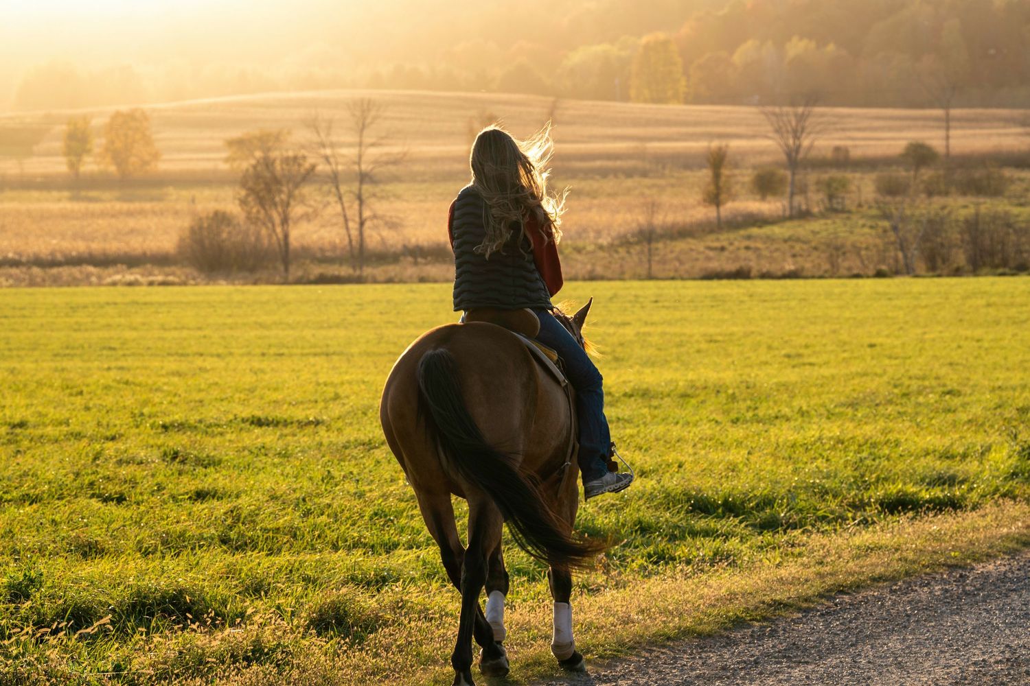 Silhouette of a horse and rider in a misty field during golden hour.