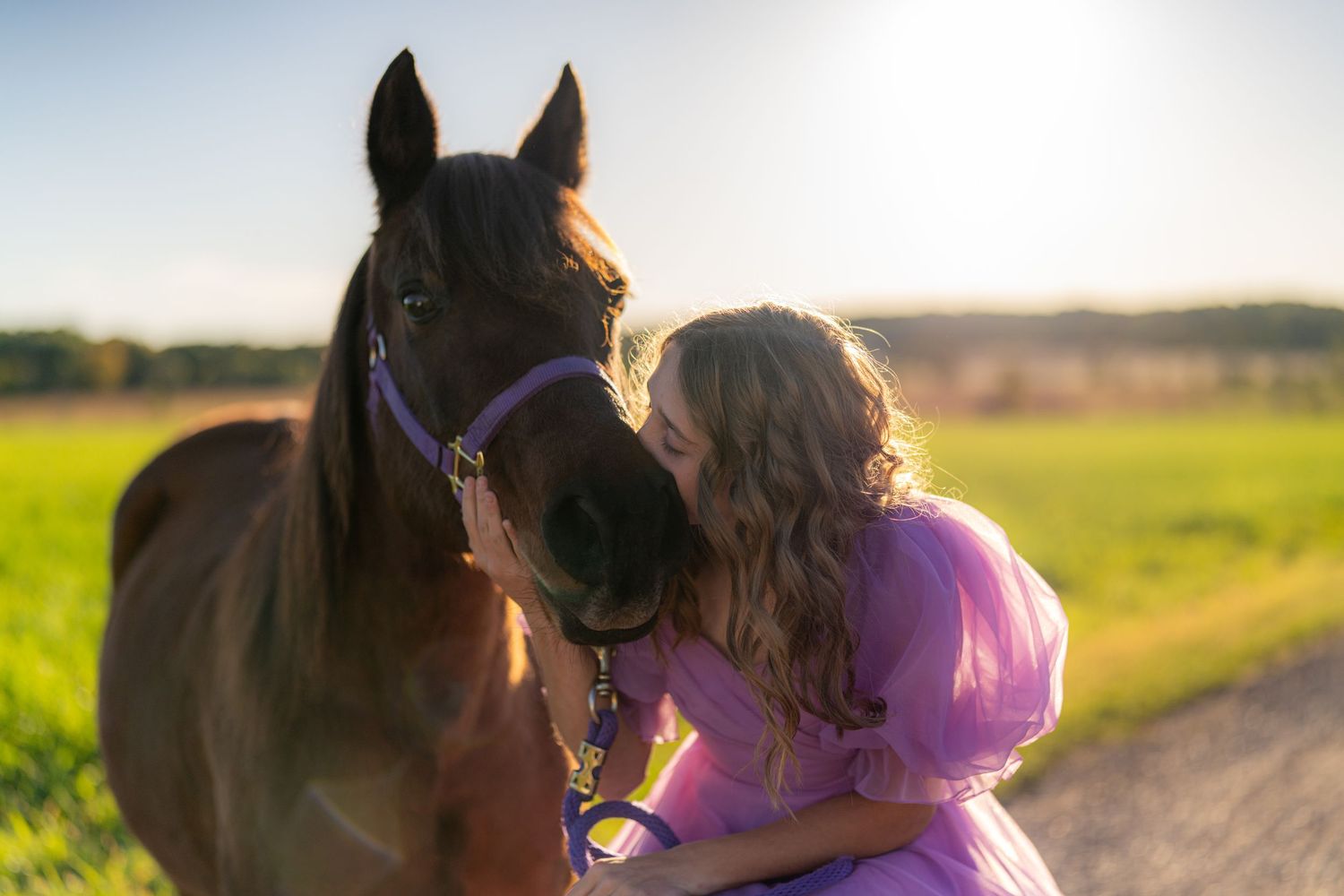 A series of romantic sunset photos showing tender moments between a couple with their horse in a golden field.