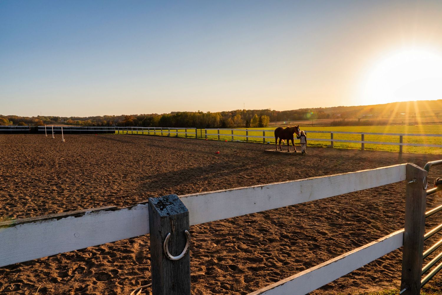 Horse riding arena with white fencing at sunset with golden light streaming across the landscape.