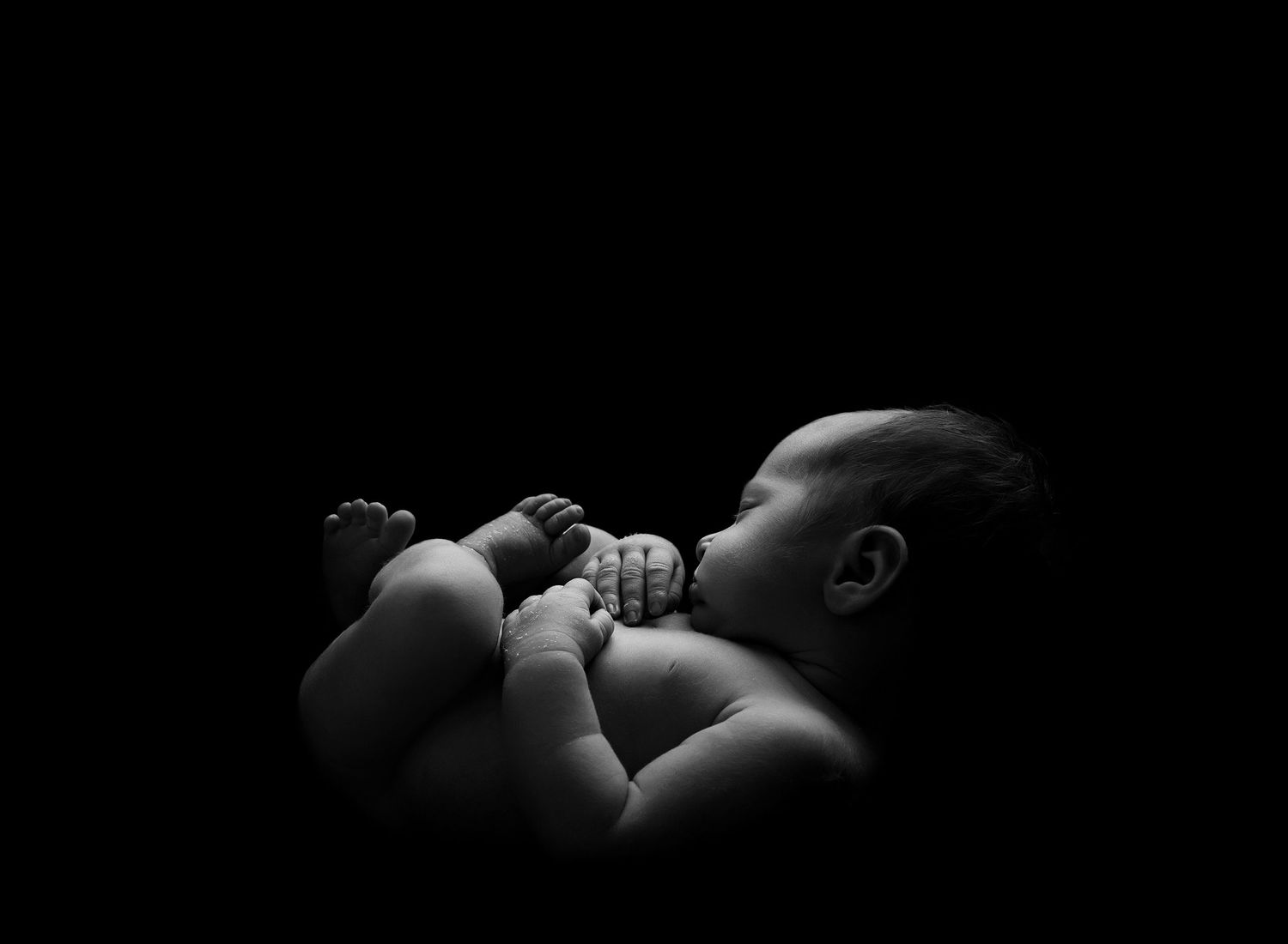 Black and white portrait of newborn baby curled up against dark background.