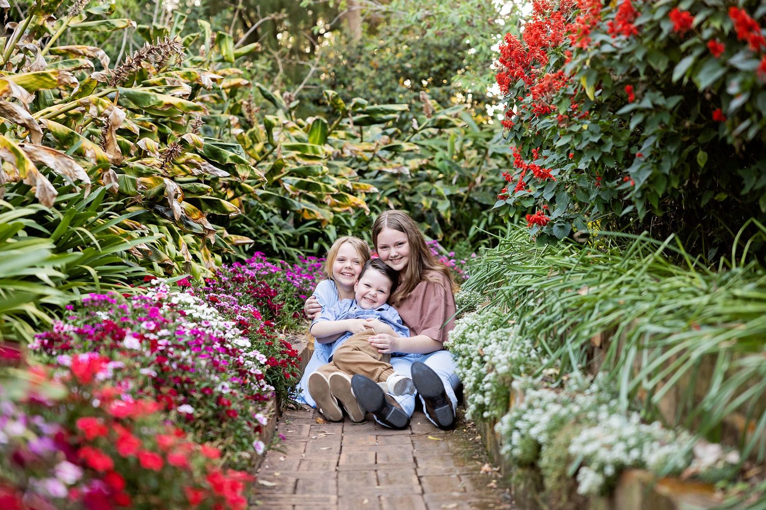 Beautiful garden path lined with vibrant red and pink flowers in full bloom.Toowoomba Photographer Toowoomba Newborn Photographer