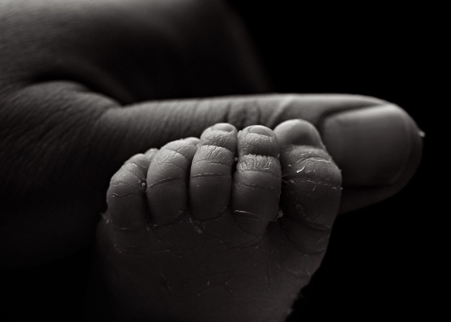 Artistic black and white close-up series of baby's tiny hands and fingersToowoomba Photographer Toowoomba Newborn Photographer
