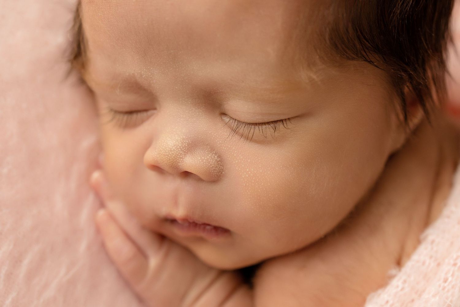 Peaceful sleeping newborn close-up portraits in soft pink tonesToowoomba Photographer Toowoomba Newborn Photographer