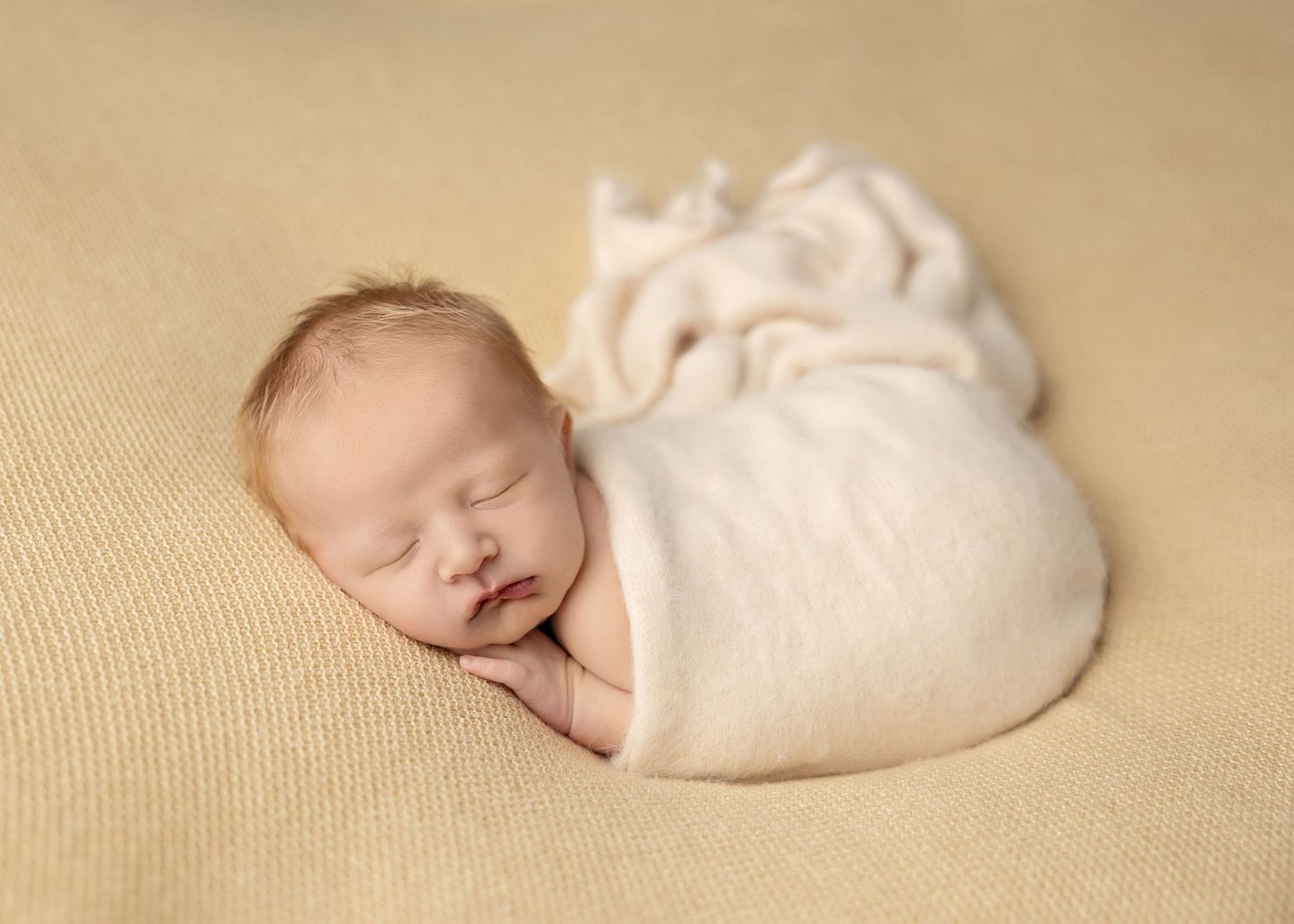 Minimalist newborn photo collection showing baby sleeping on beige backgroundToowoomba Photographer Toowoomba Newborn Photographer