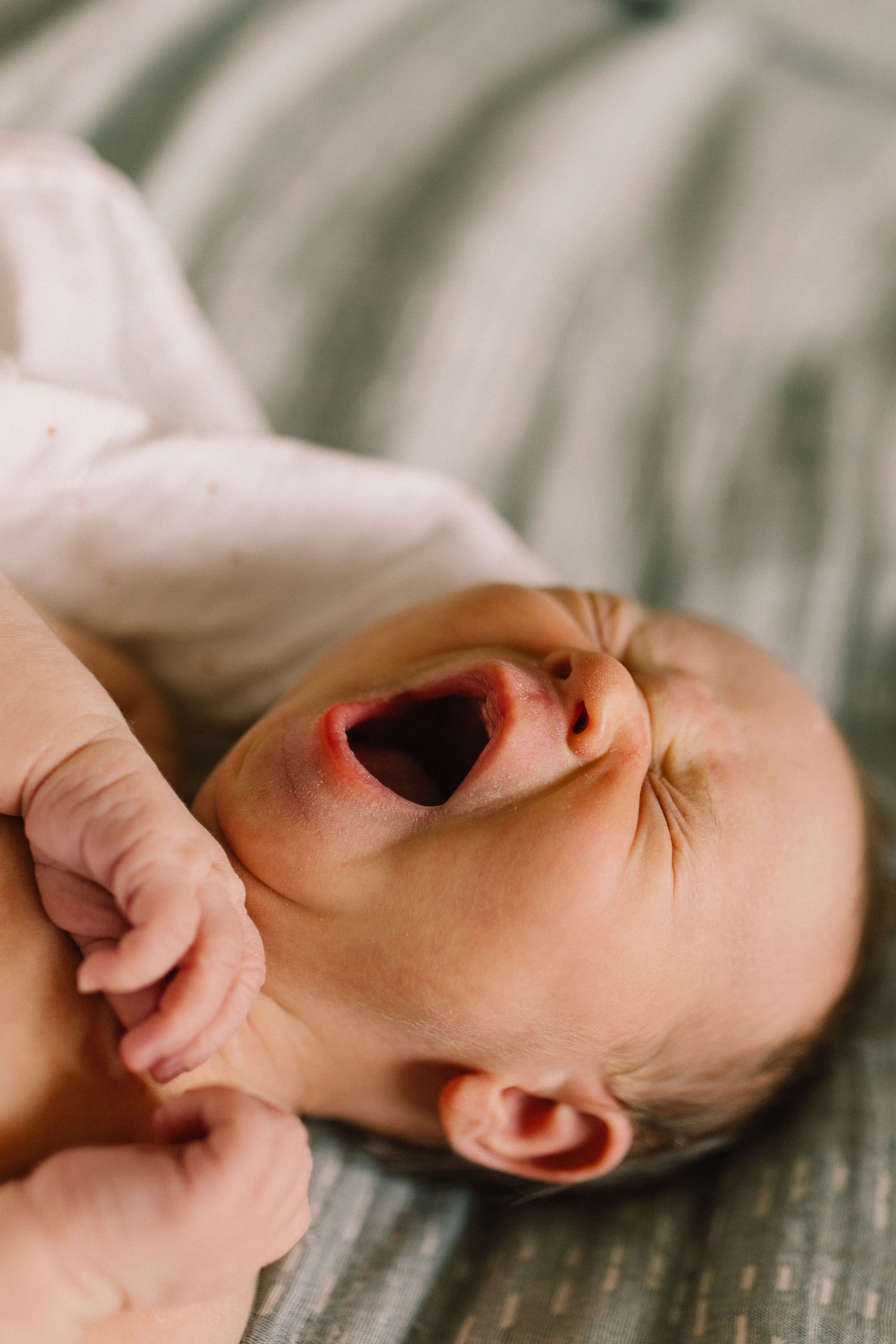 yarning newborn photo