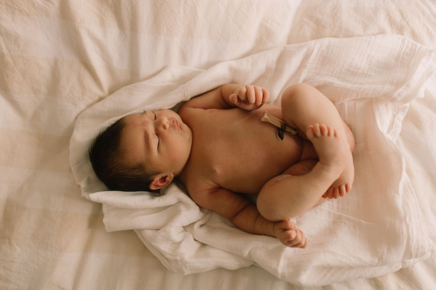 Palmerston in home newborn session