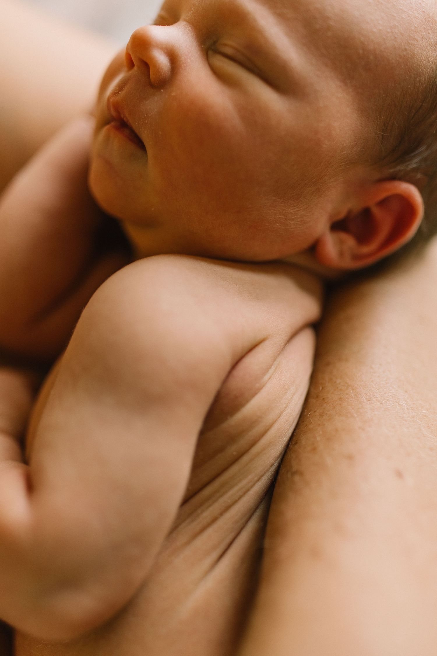 newborn photo in mothers arms