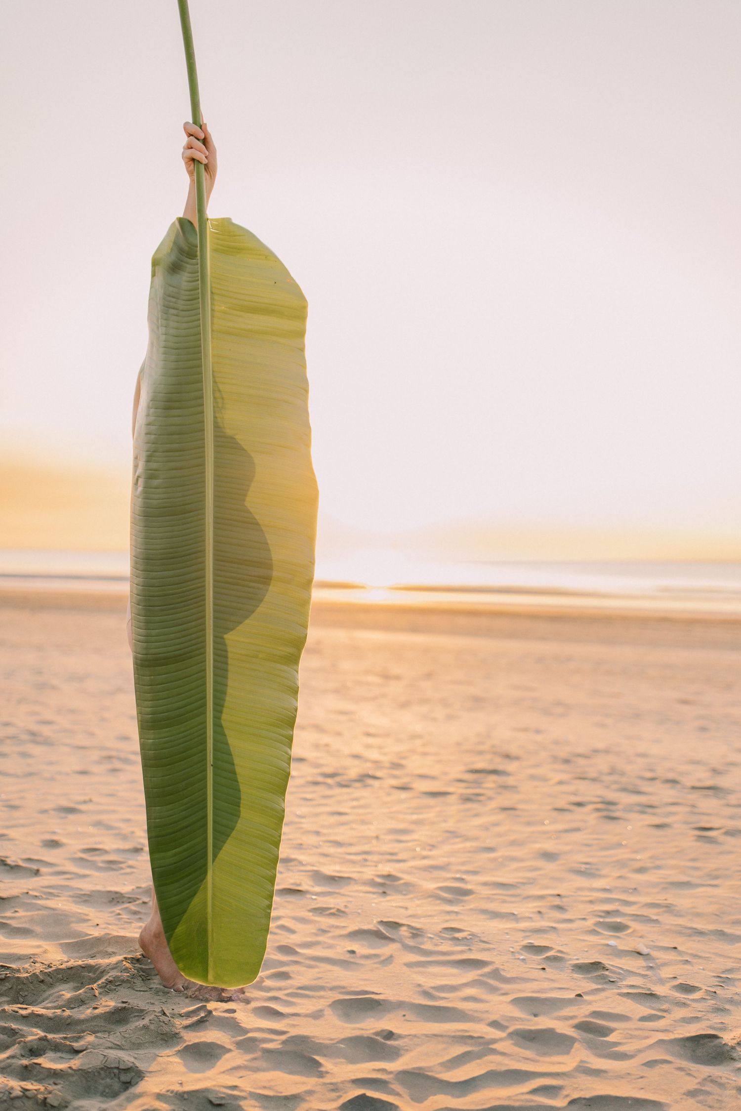 maternity photo with large leaf
