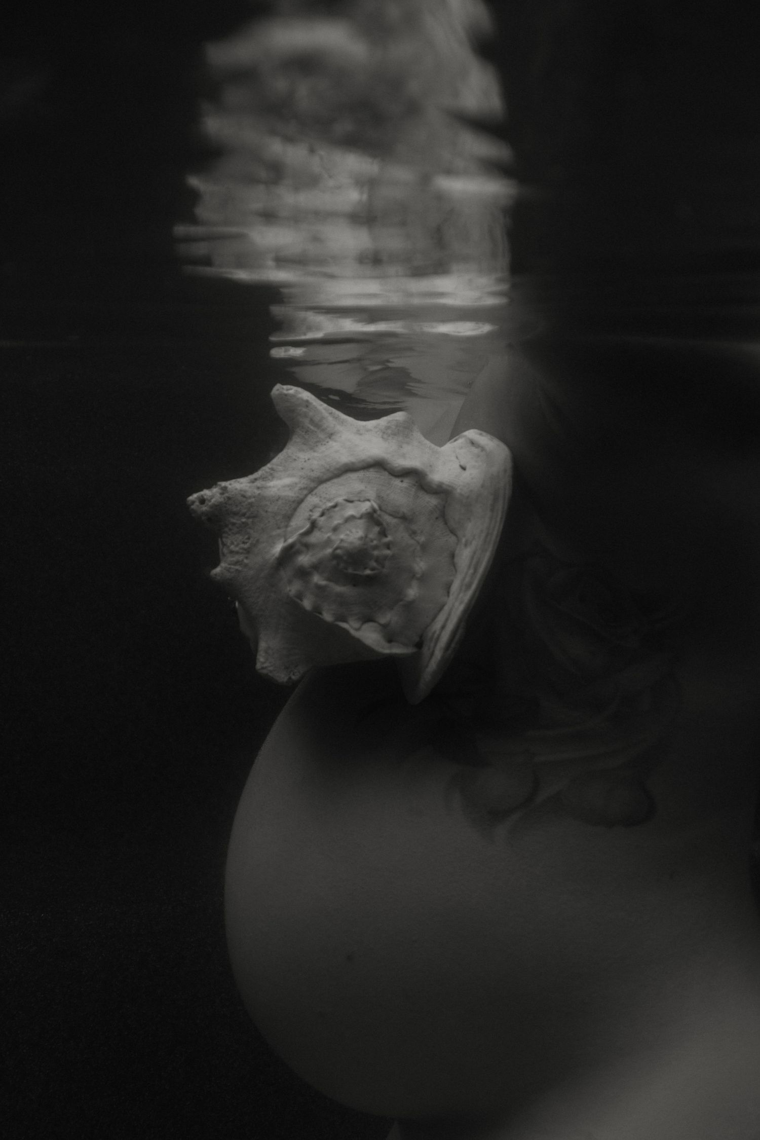 Darwin Palmerston underwater photography maternity session
