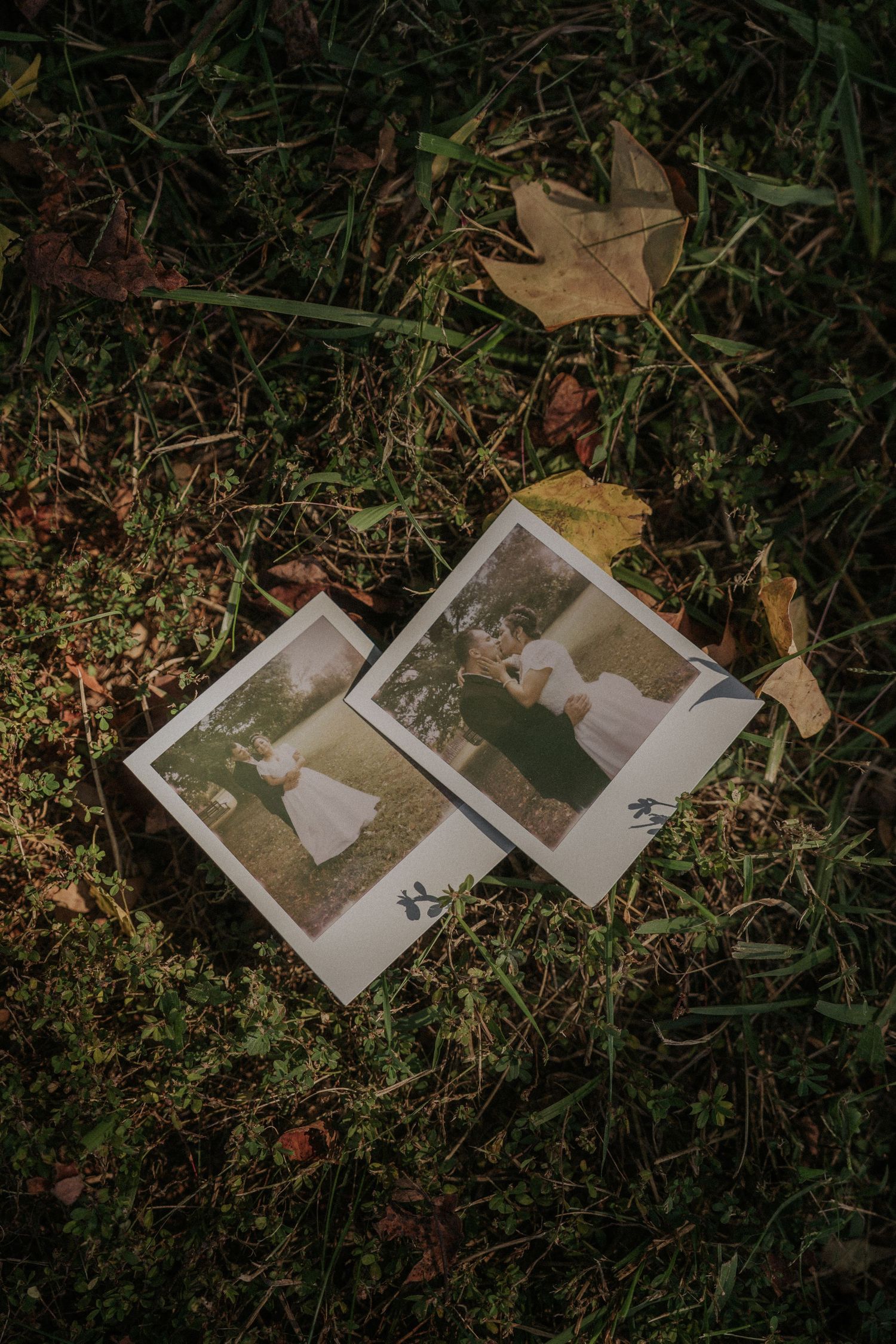 Wedding Polaroid photographs displayed on grass with fallen autumn leaves.