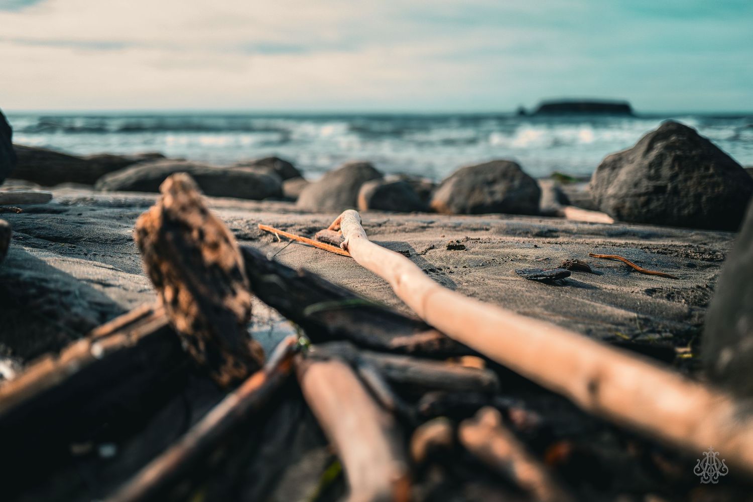 drift wood - James Odd Photography - © James Allister Odd