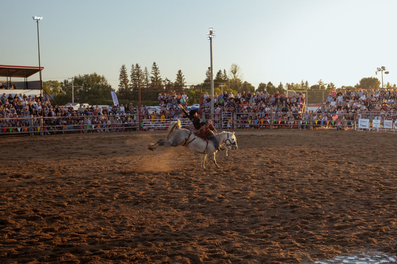 A cowboy rides a white horse at full gallop in a sandy rodeo arena with a large crowd of spectators watching at sunset.