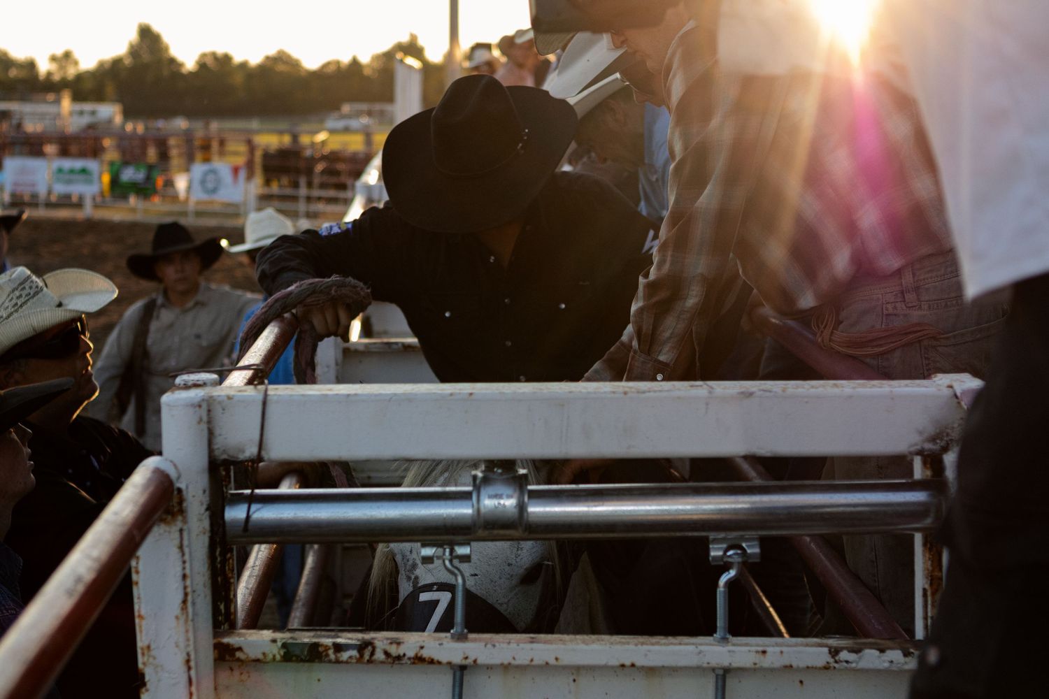 Cowboys gather at a rodeo arena at golden hour, leaning on white metal gates as warm sunlight streams across the dusty venue.