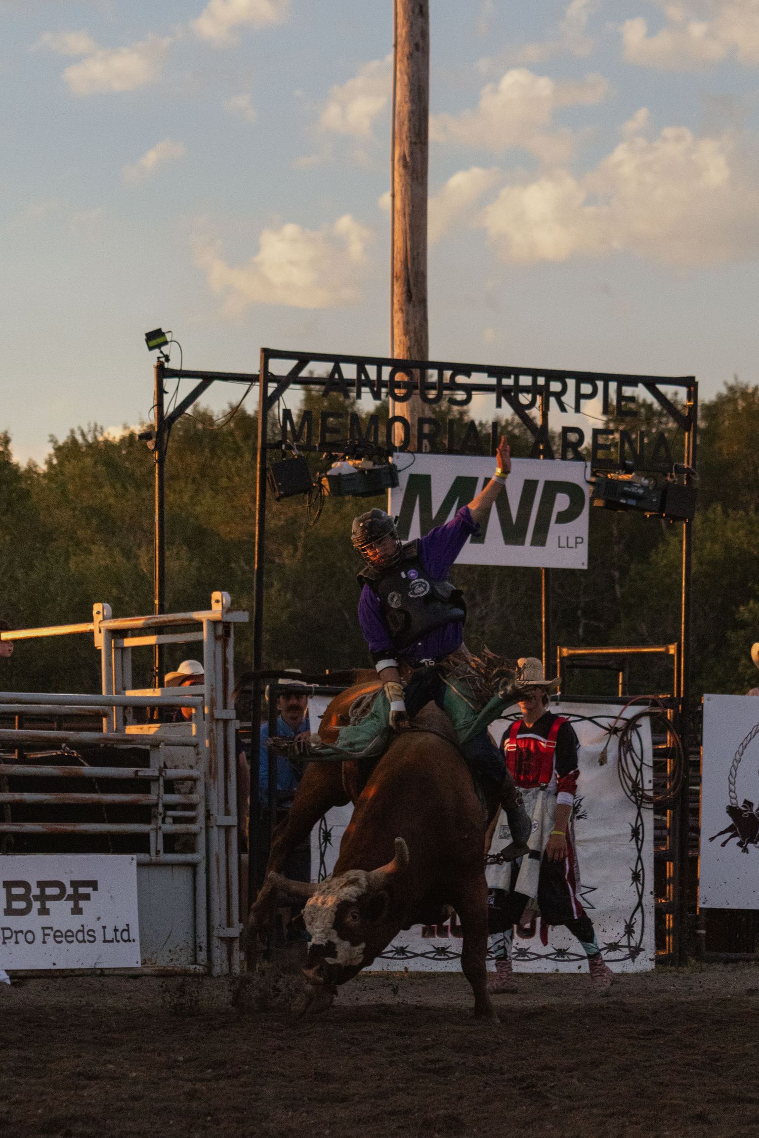 Rodeo rider on bucking bull at Angus Turpie Memorial Arena during evening competition.