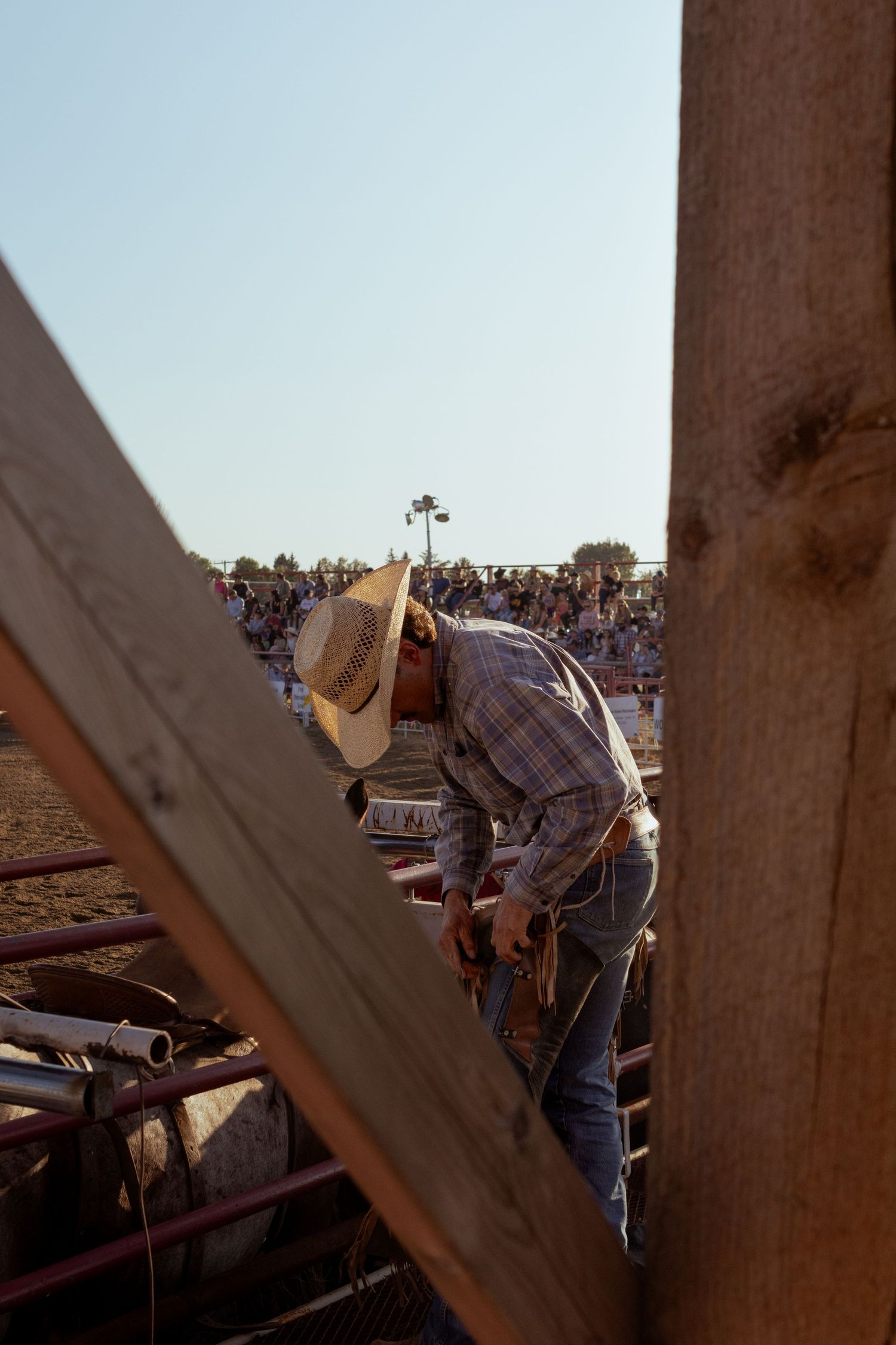 Cowboy in plaid shirt and straw hat working at a rodeo chute, with crowd visible in background.