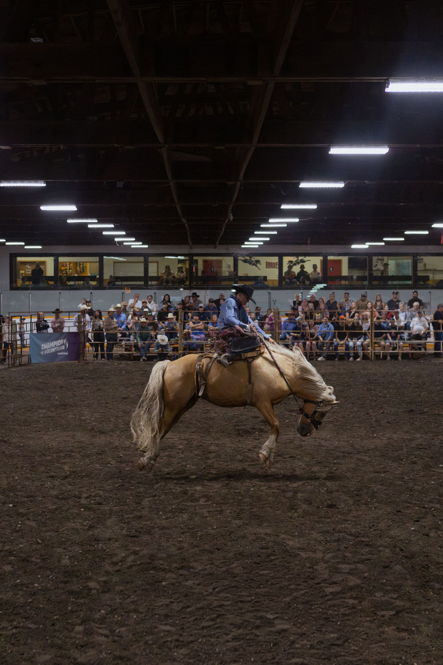 Cowboy riding a bucking palomino horse at an indoor rodeo arena with spectators watching in the background.