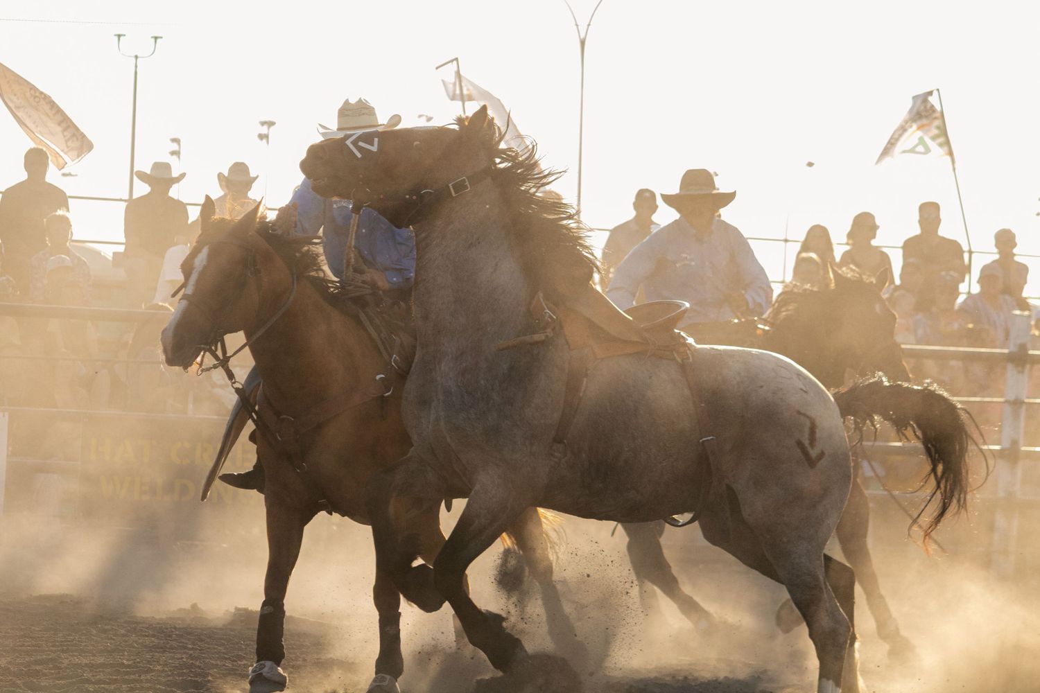 Dusty rodeo scene with cowboys on horseback competing in an arena surrounded by spectators in golden sunlight.