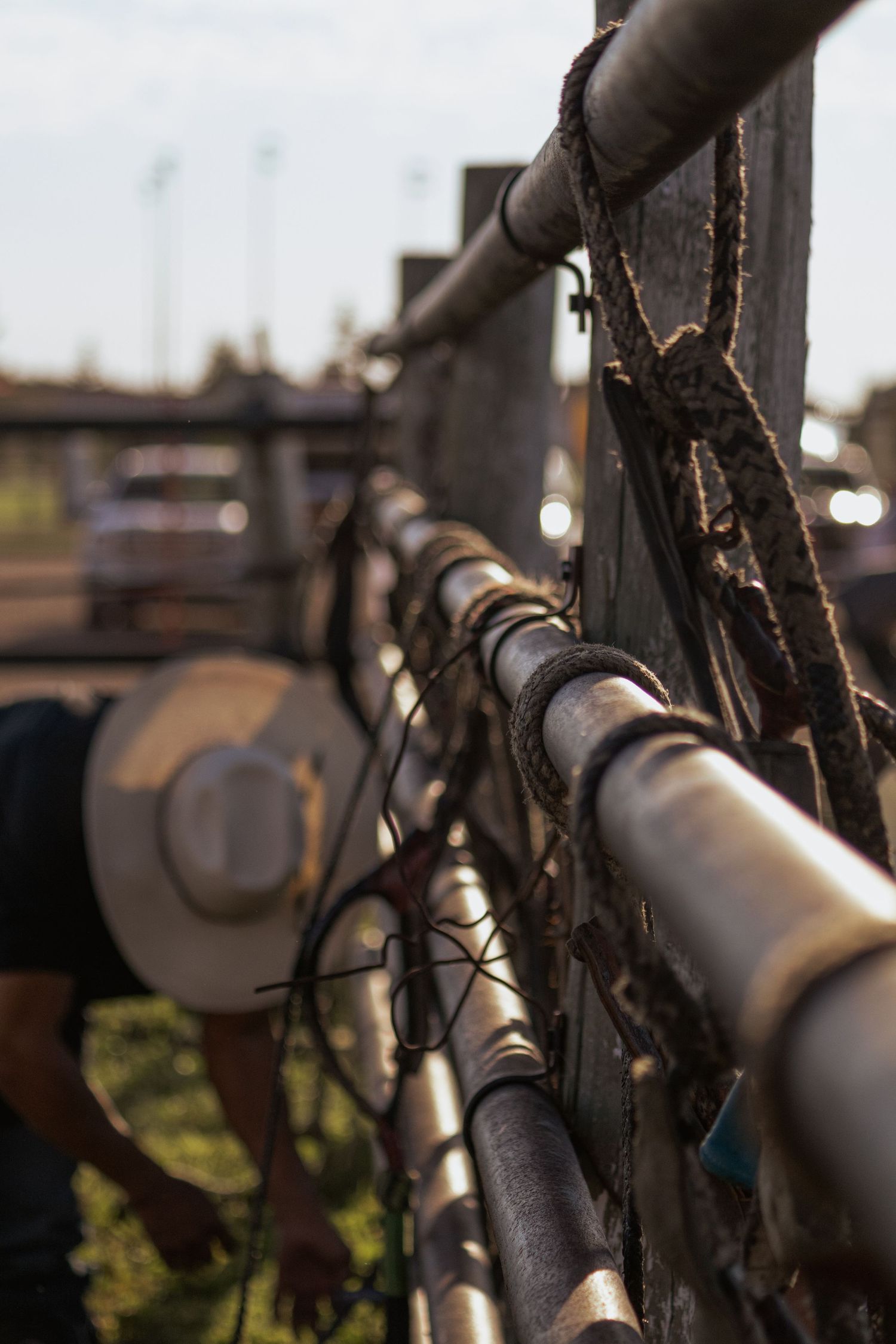 A cowboy in a white hat stands near metal rodeo fence rails with rope tied to the posts in golden hour light.