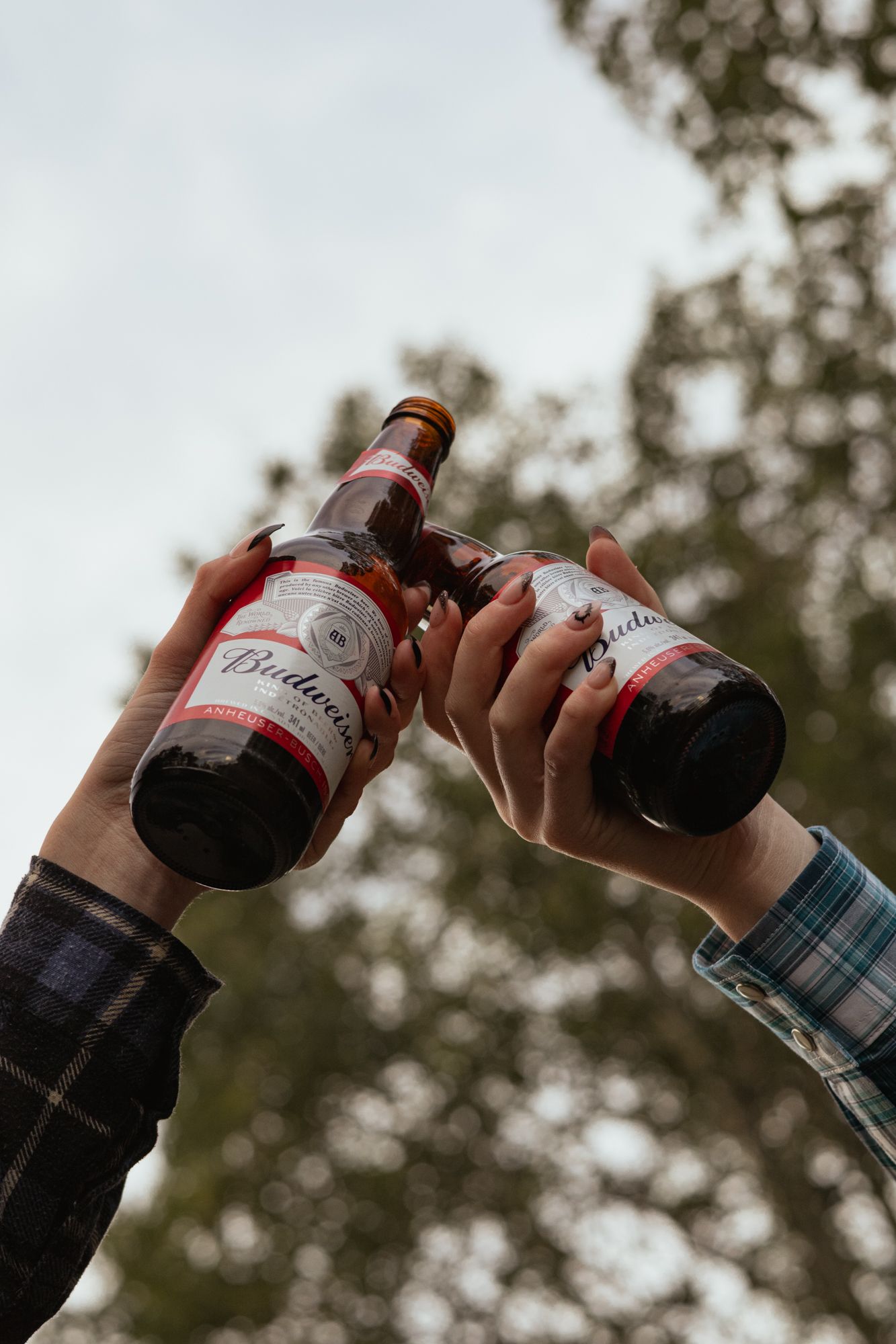 Two hands clinking Budweiser beer bottles in a celebratory toast outdoors with trees in the background.
