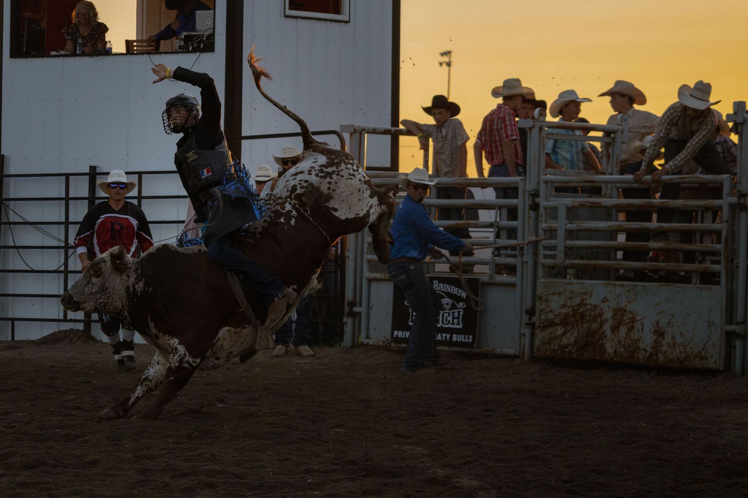 A cowboy rides a bucking bull at a rodeo event during sunset with spectators watching from the fence.