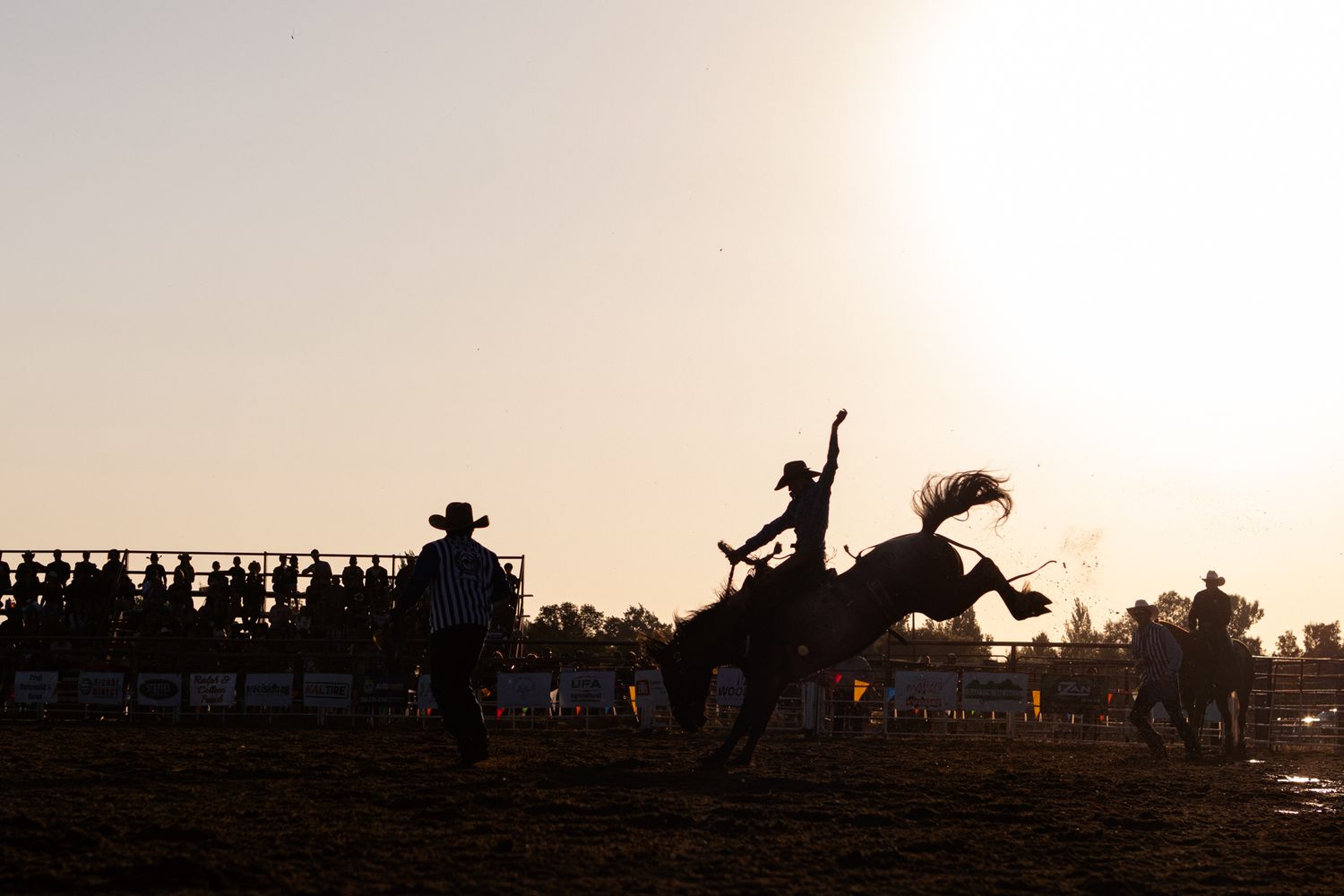 Silhouette of a bull rider and cowboy at a rodeo arena during golden sunset hour.
