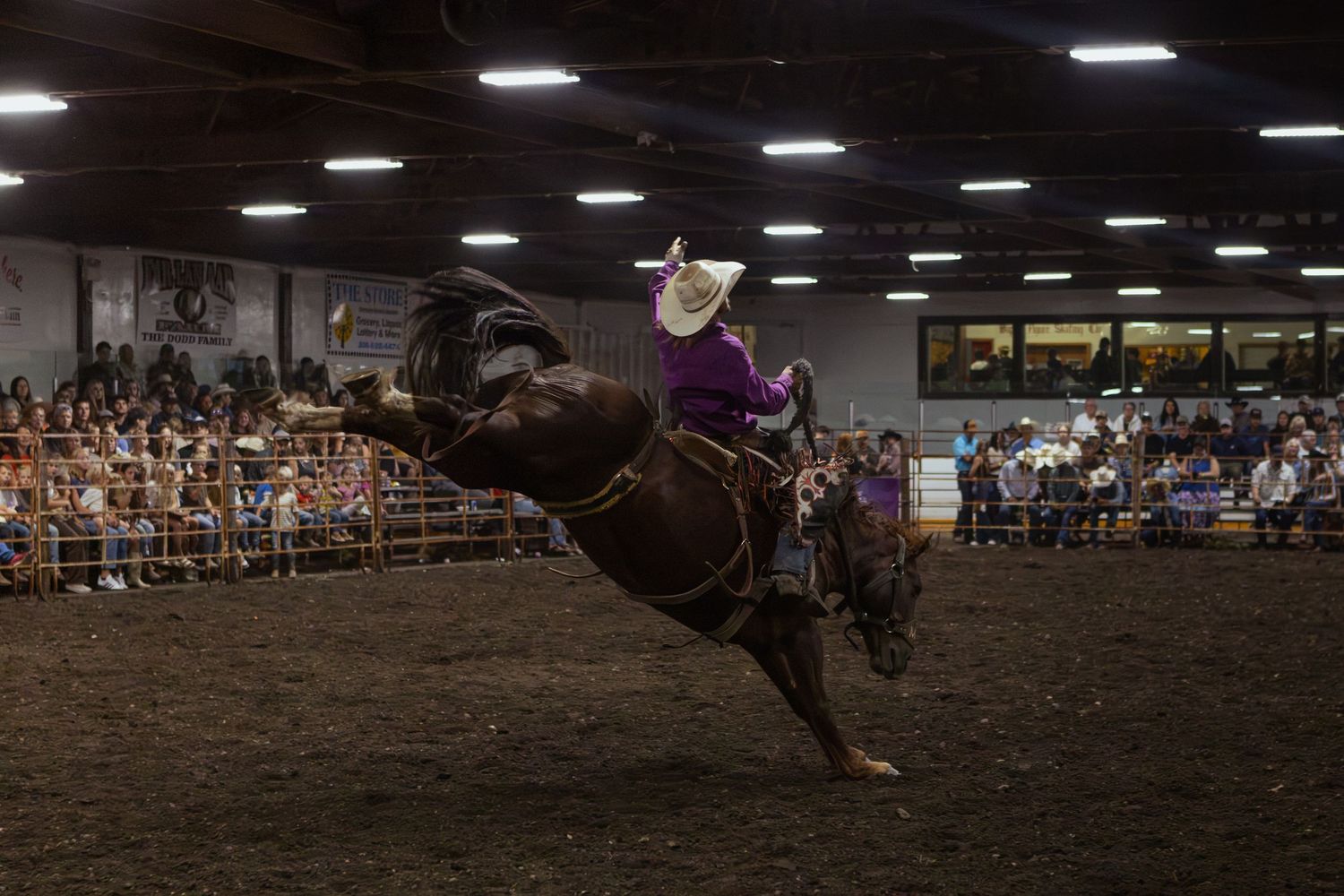 Rodeo cowboy riding a bucking bronco horse in an indoor arena with spectators watching.