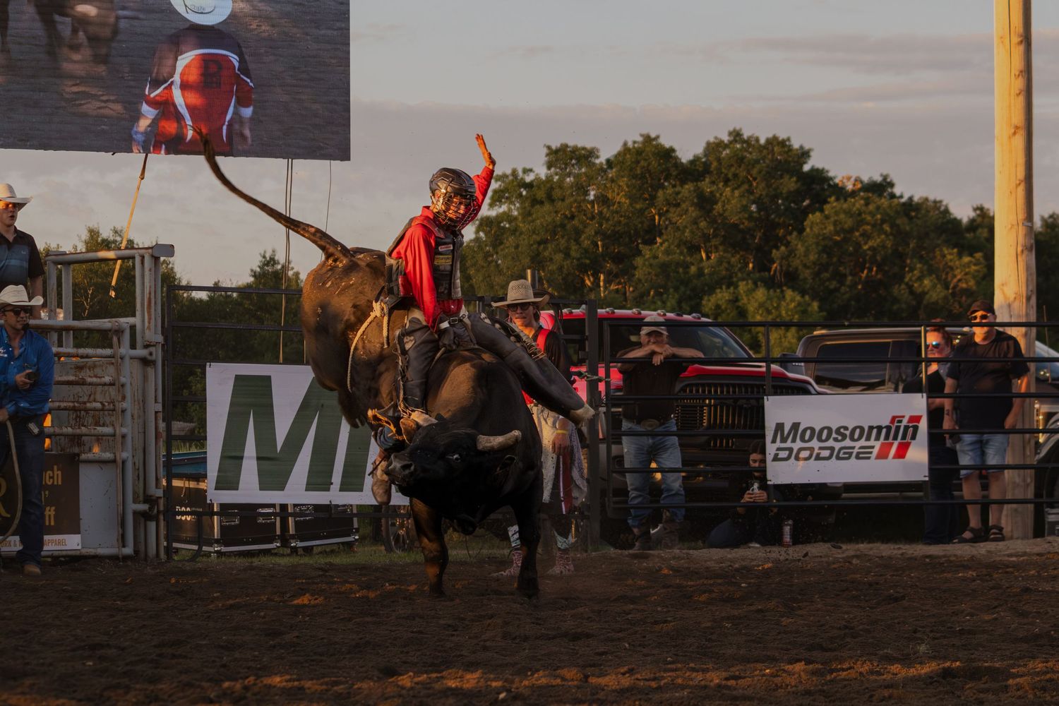 A rodeo rider in red cape gear rides a bucking bull at a Moosomin Dodge sponsored event at dusk.