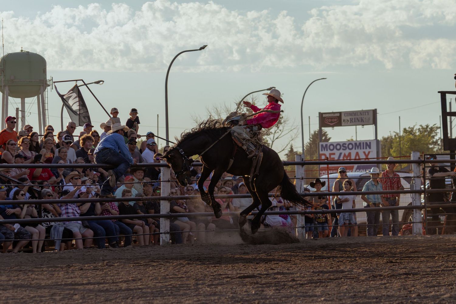 A cowboy rides a bucking black horse at a rodeo event with a crowd of spectators watching behind metal fencing.
