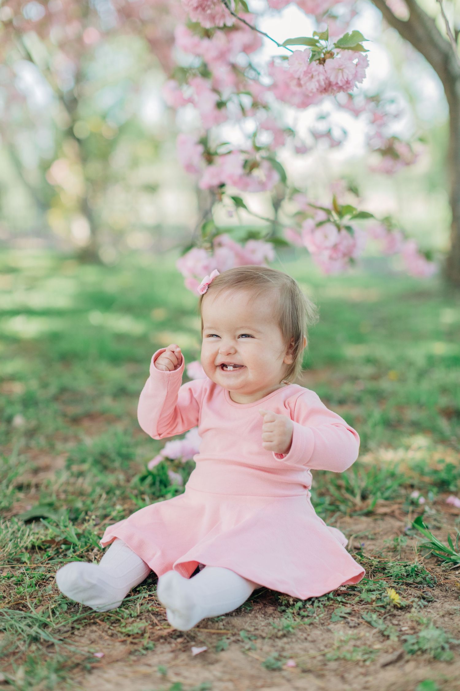 Baby in pink dress sitting on ground beneath blooming cherry trees.