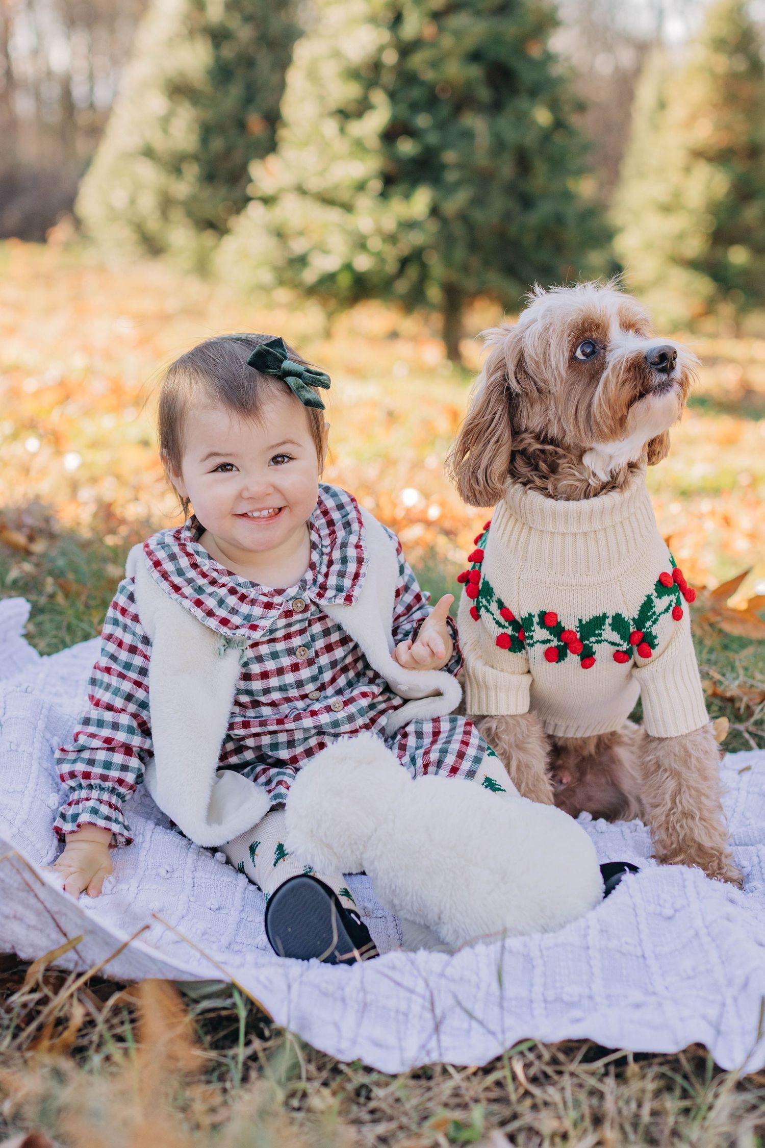 A festive holiday photo session featuring a white dog and plaid outfits on a blanket surrounded by autumn leaves.