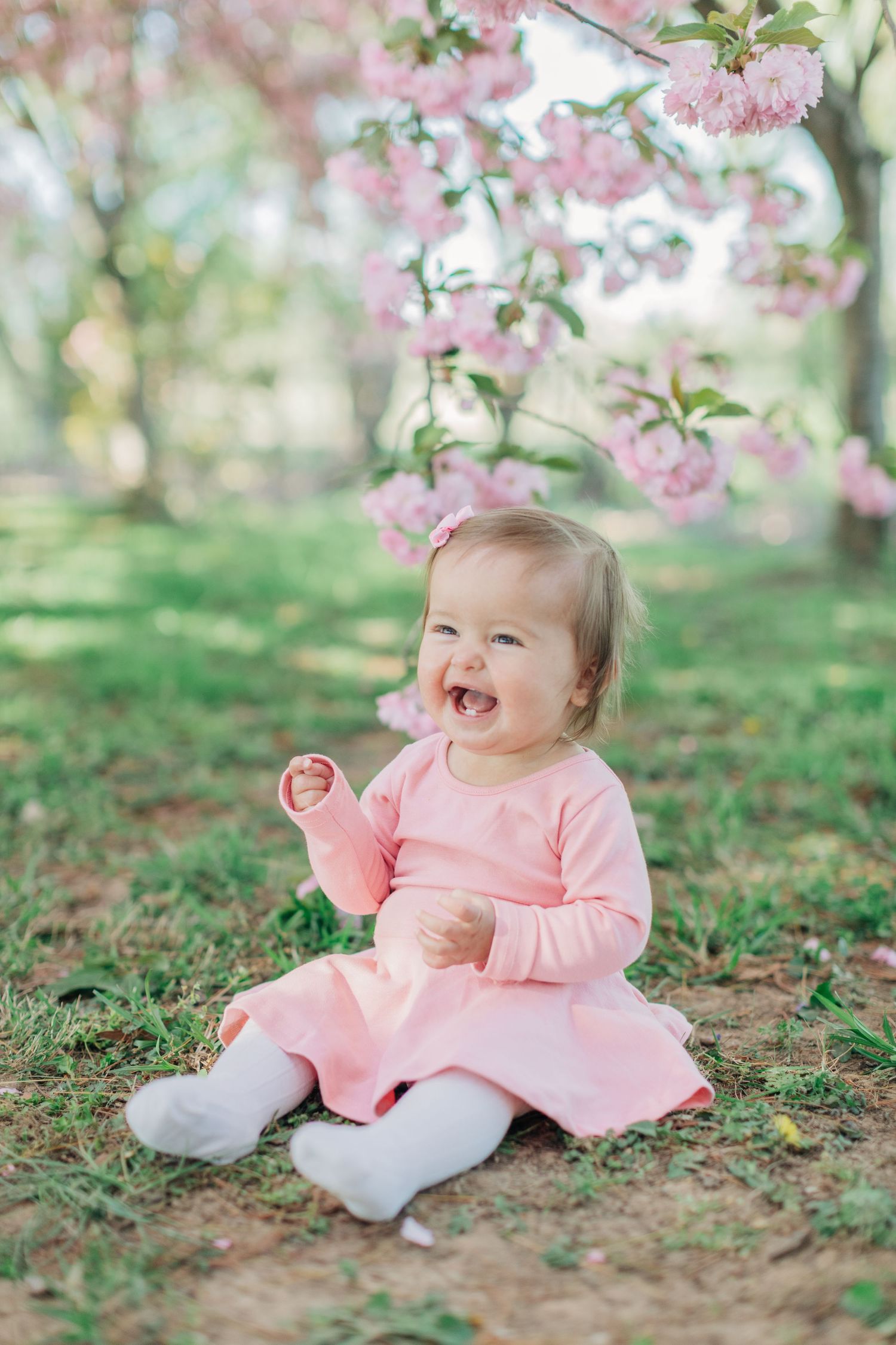 Baby in pink dress sitting on grass under blooming cherry blossoms with joyful expression.