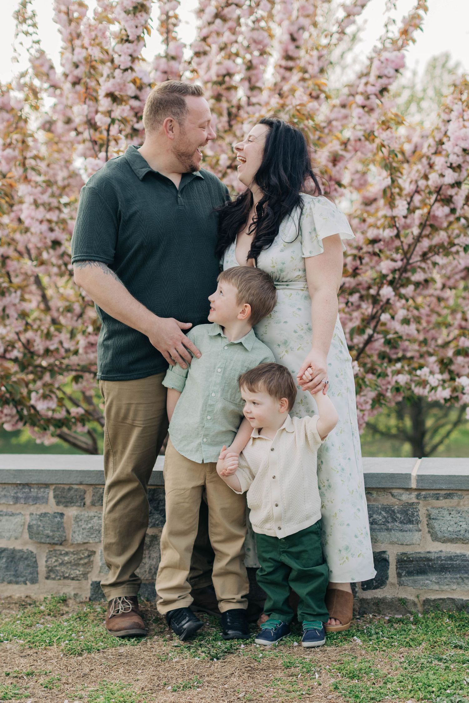 Family of four posing before pink cherry blossom trees, parents smiling at each other while two young boys stand between them.