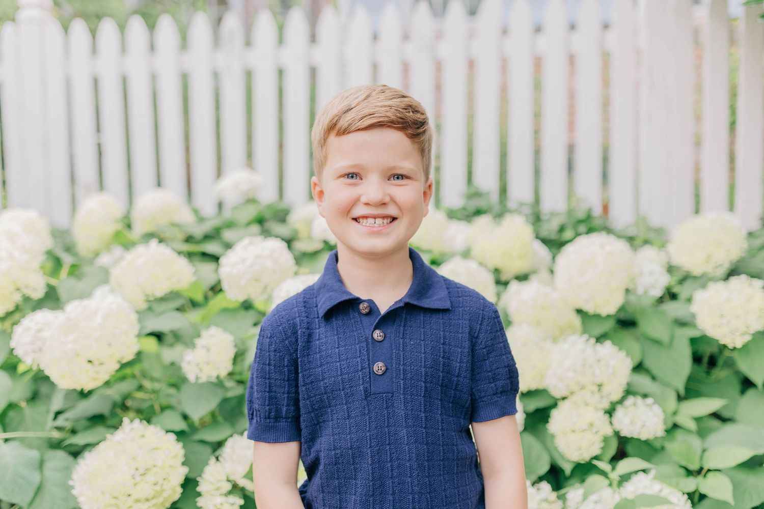 Smiling boy in navy polo shirt standing in front of white hydrangeas and picket fence outdoors.