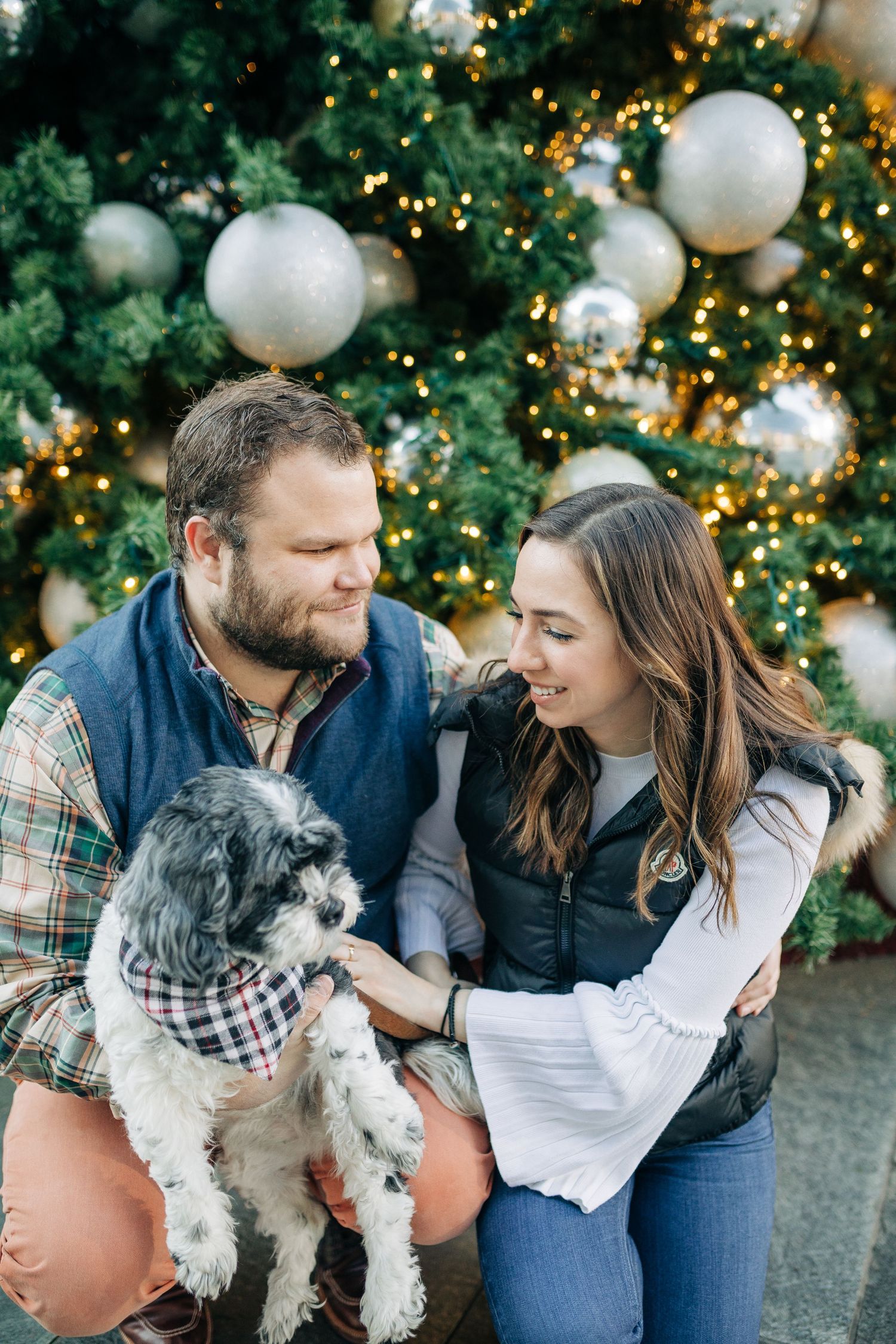 A couple and their small dog pose together by a Christmas tree with twinkling lights.