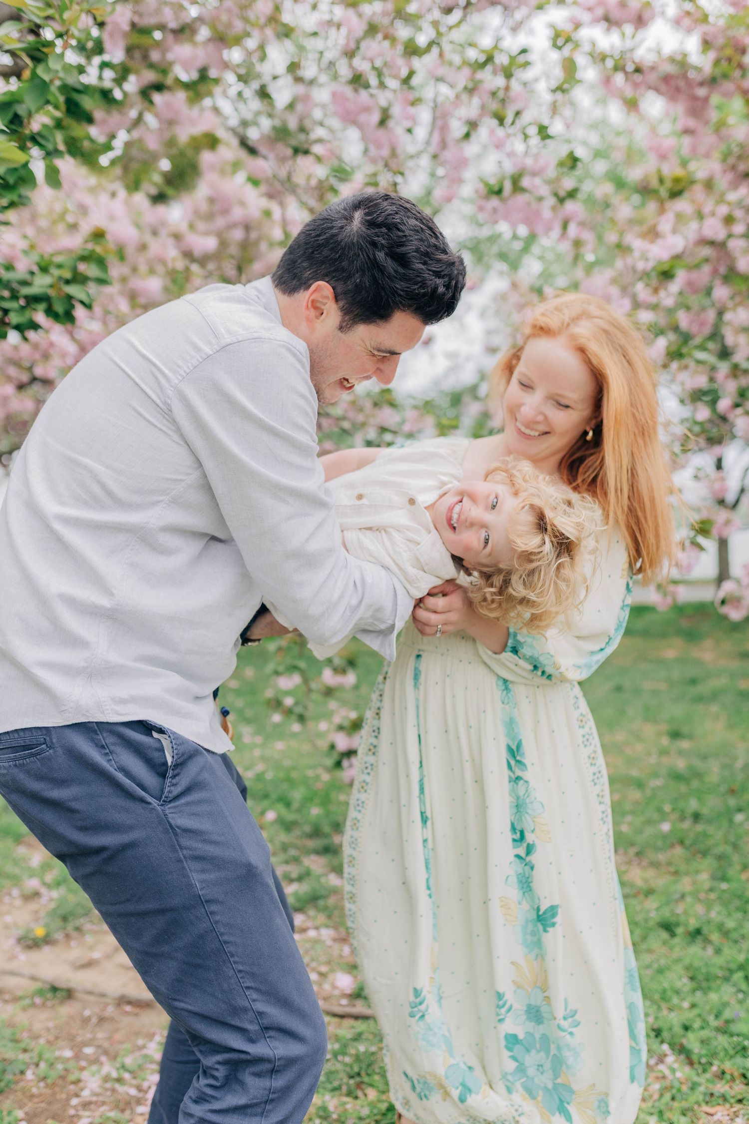 Candid family photos taken under blooming spring cherry blossoms in a park.