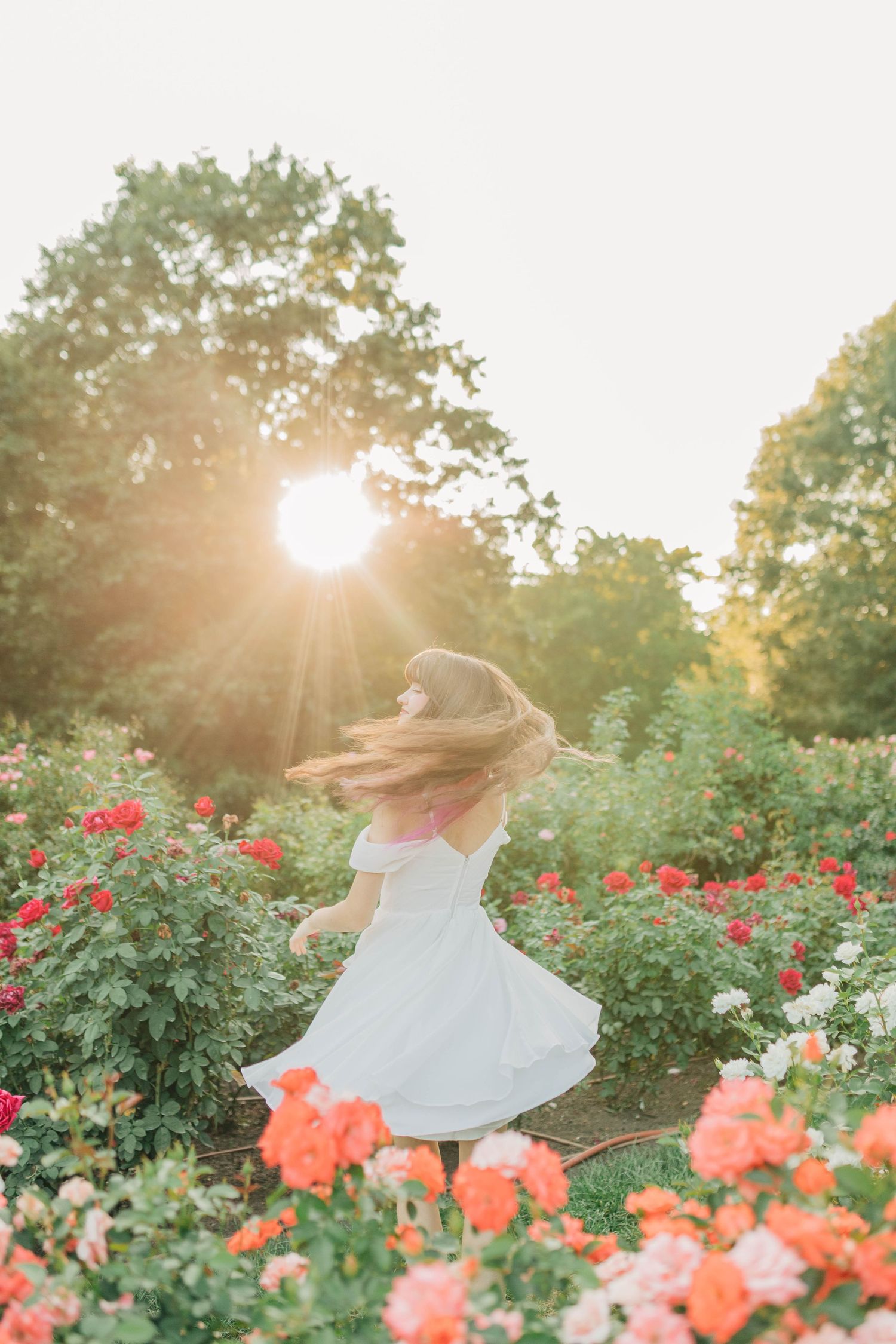 Whimsical sunset photo of someone twirling in white dress among roses.