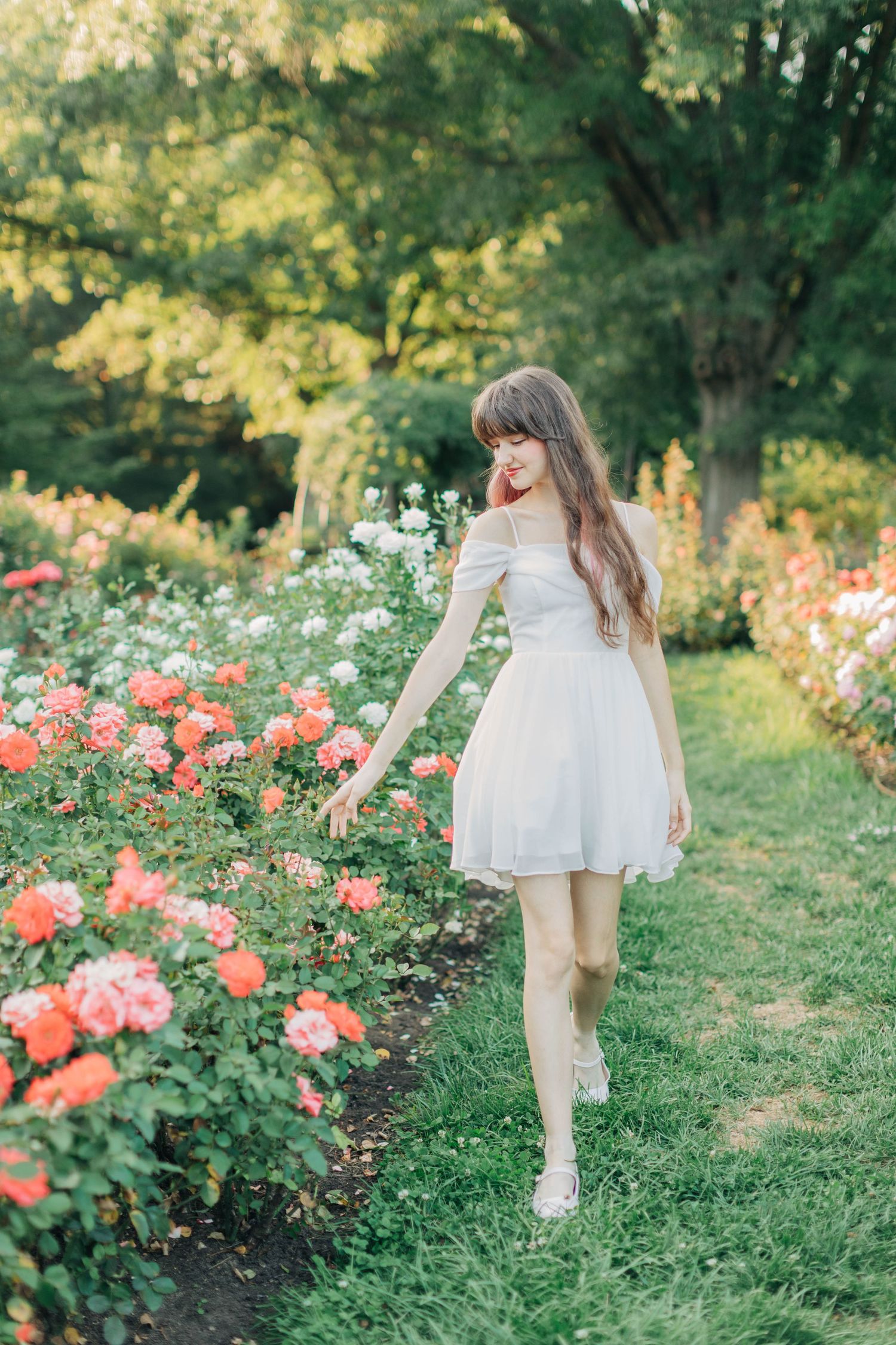 Someone in flowing white dress walking through a blooming rose garden path.