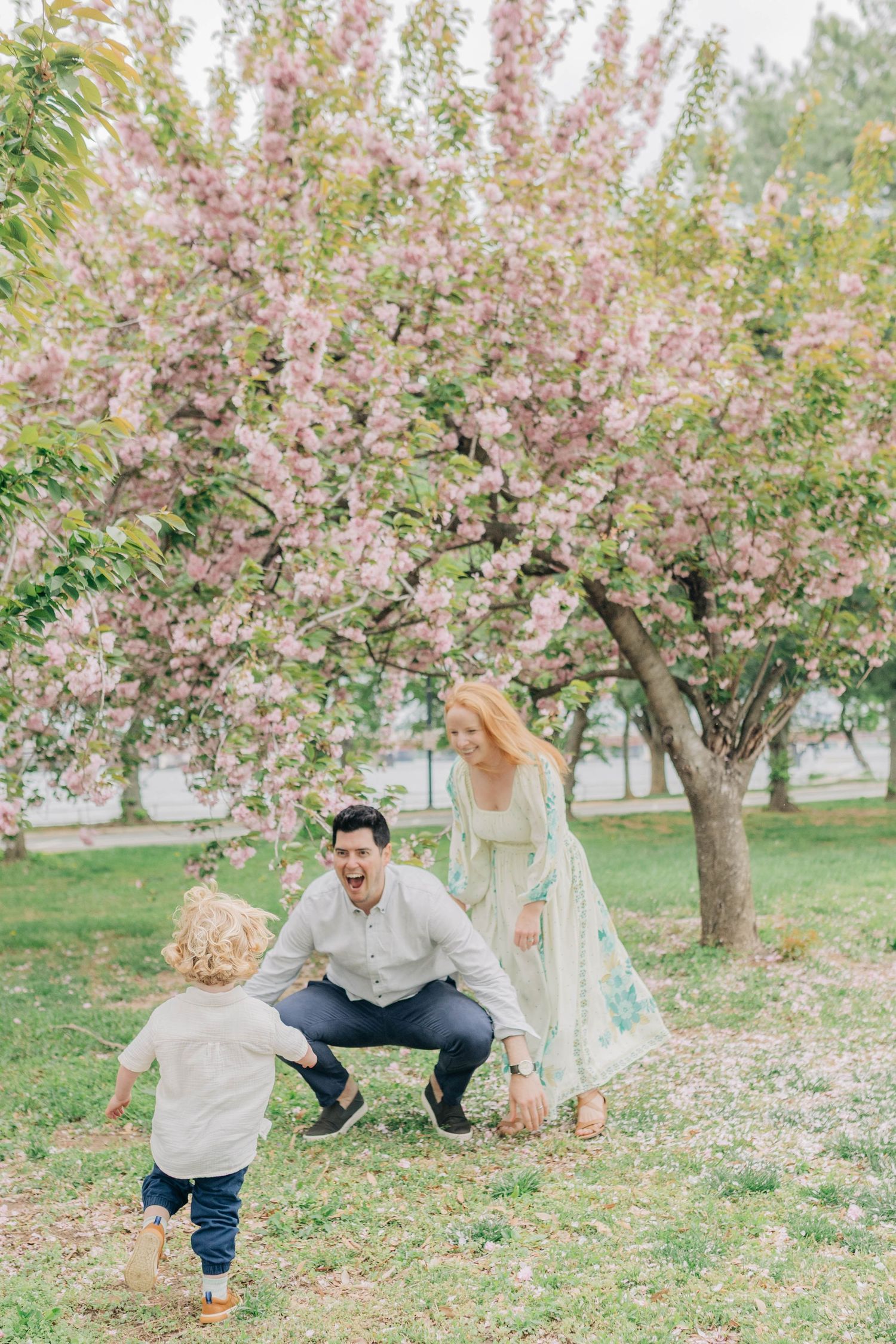 A playful couple runs and chases each other through a scenic orchard filled with pink blossoming trees.