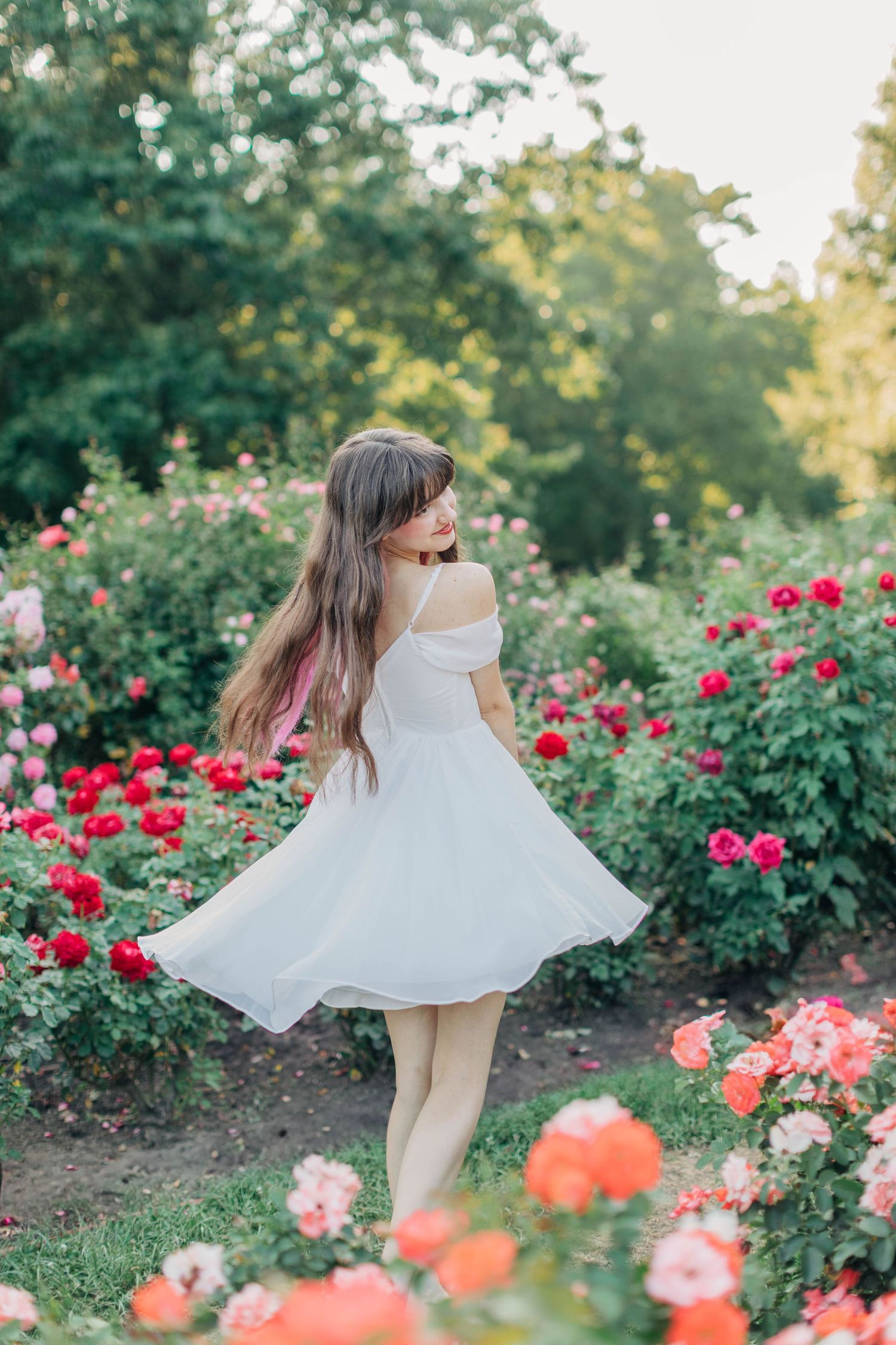 A flowing white dress twirls gracefully in a garden filled with blooming red roses and soft sunlight.