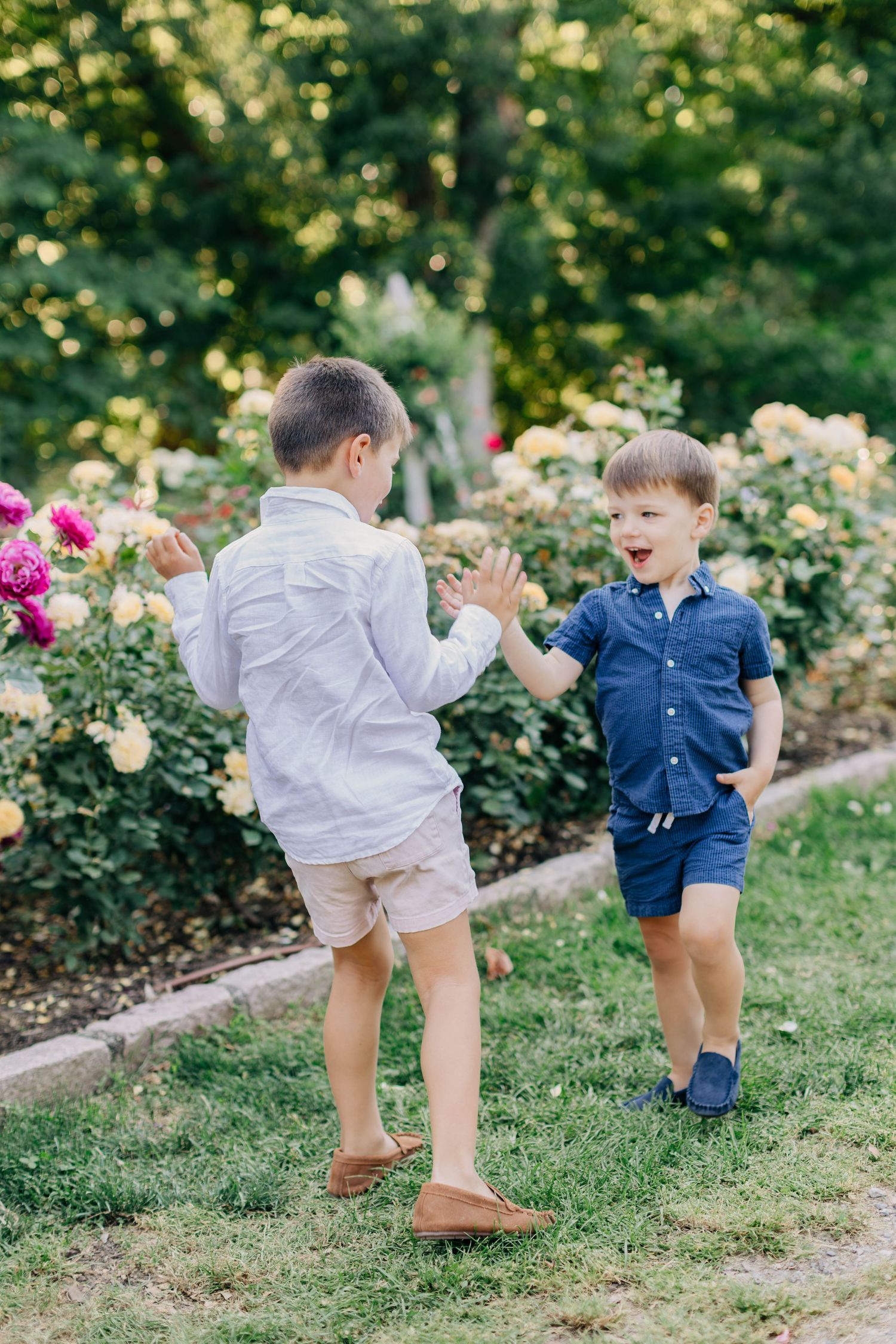 Two young boys in a garden high-fiving and laughing near colorful rose bushes on a sunny day.