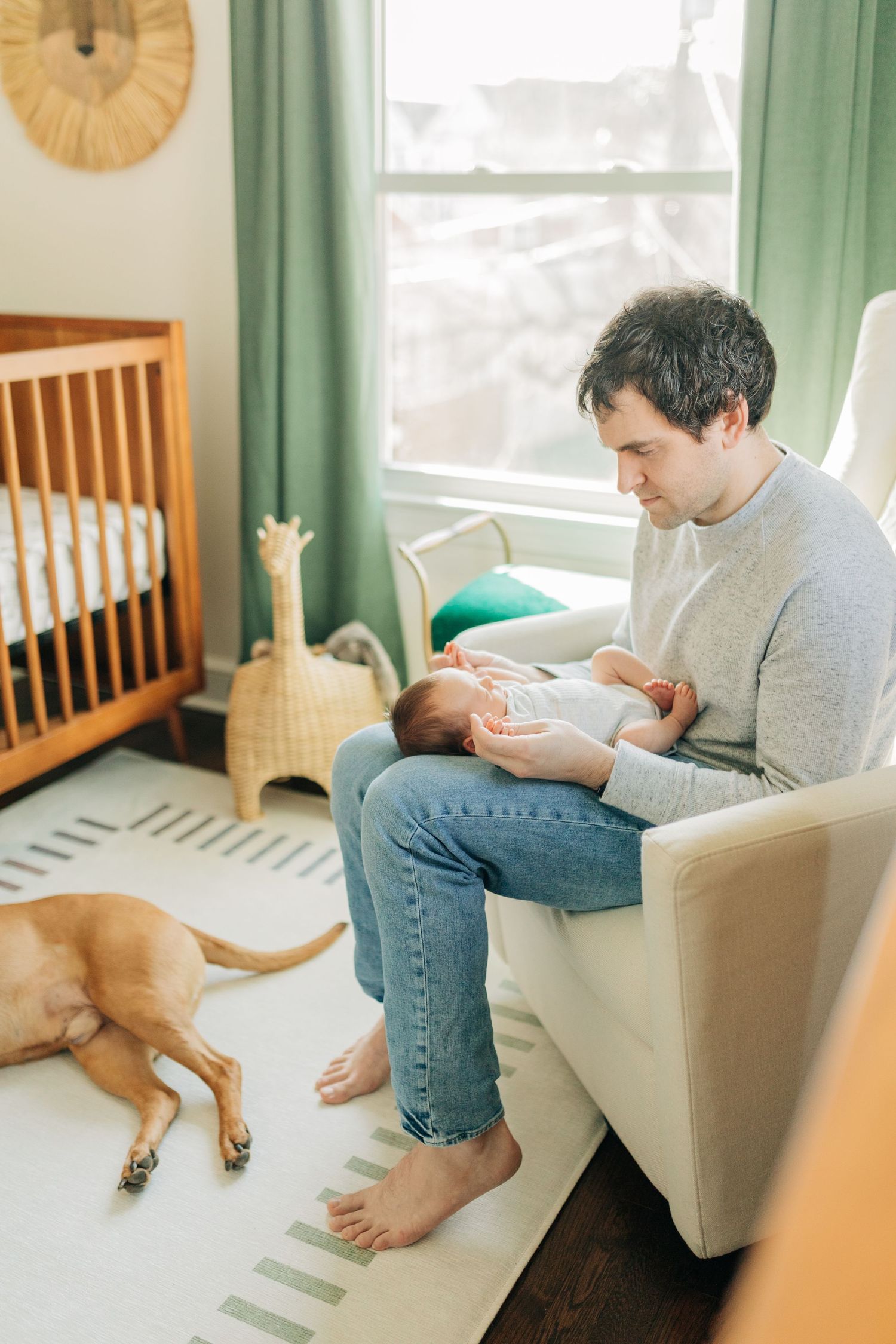Parent holding baby on couch while dog rests nearby in sunlit room.