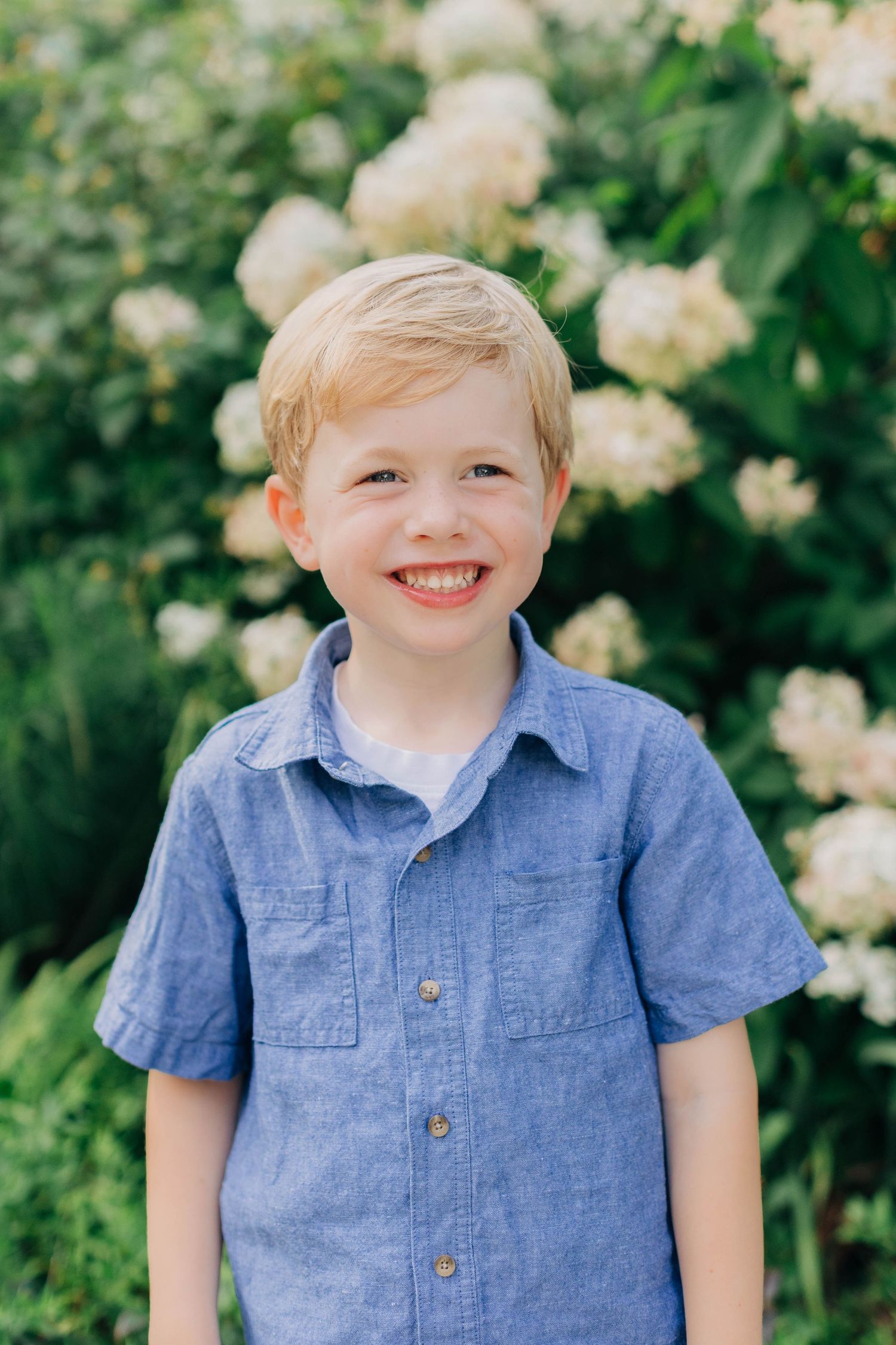 Smiling young boy with blonde hair wearing a blue chambray shirt standing in front of white hydrangea bushes outdoors.